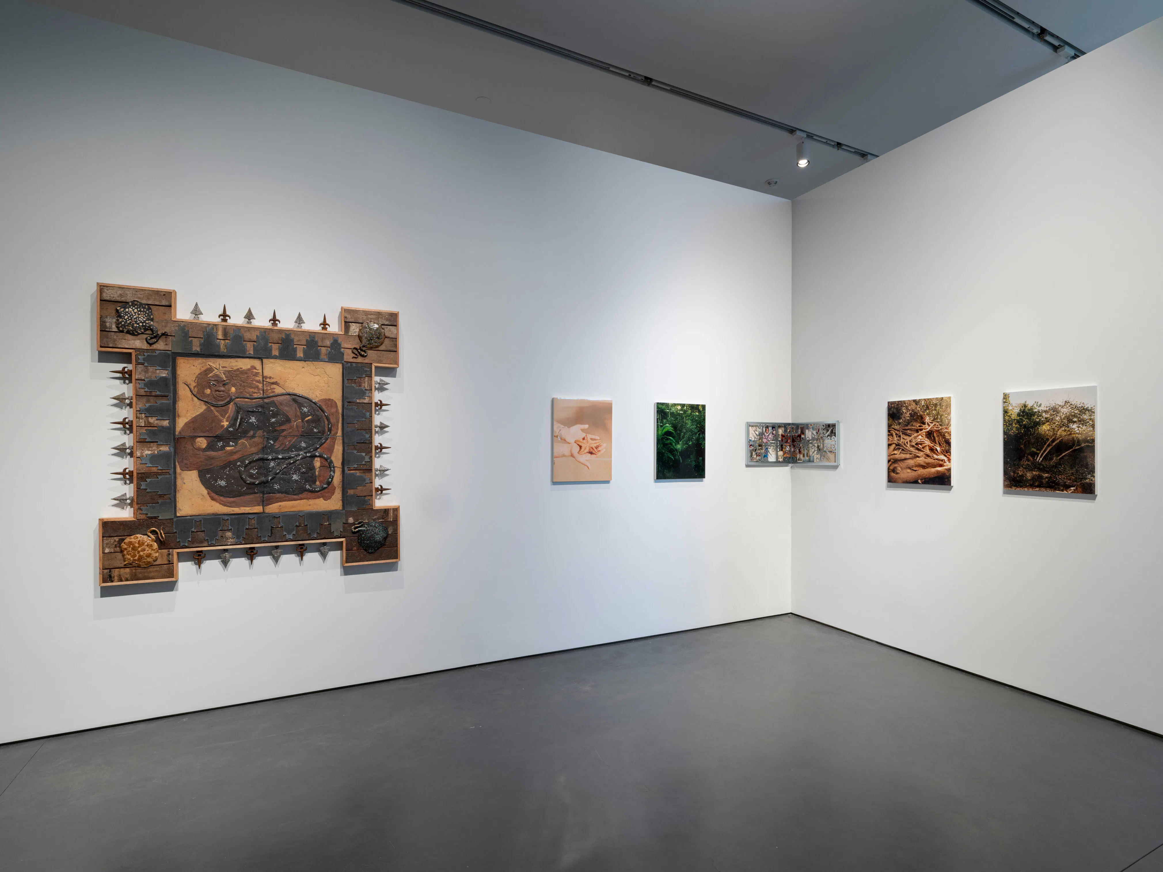 <p><em>Fade</em> (installation view), 2026. Photo: Kris Graves</p>
