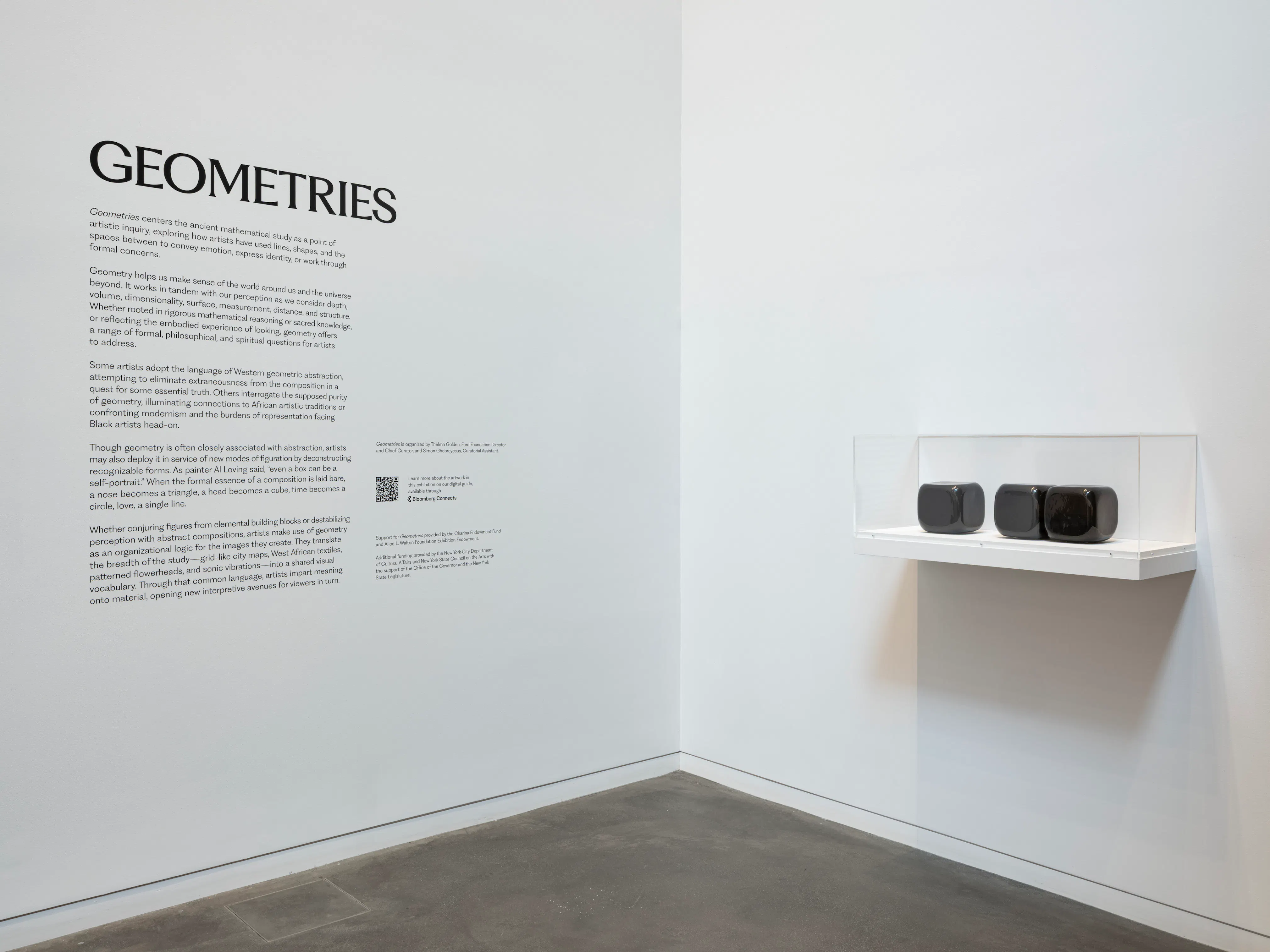 <p><em>Geometries</em> (installation view), 2026. Photo: Kris Graves</p>