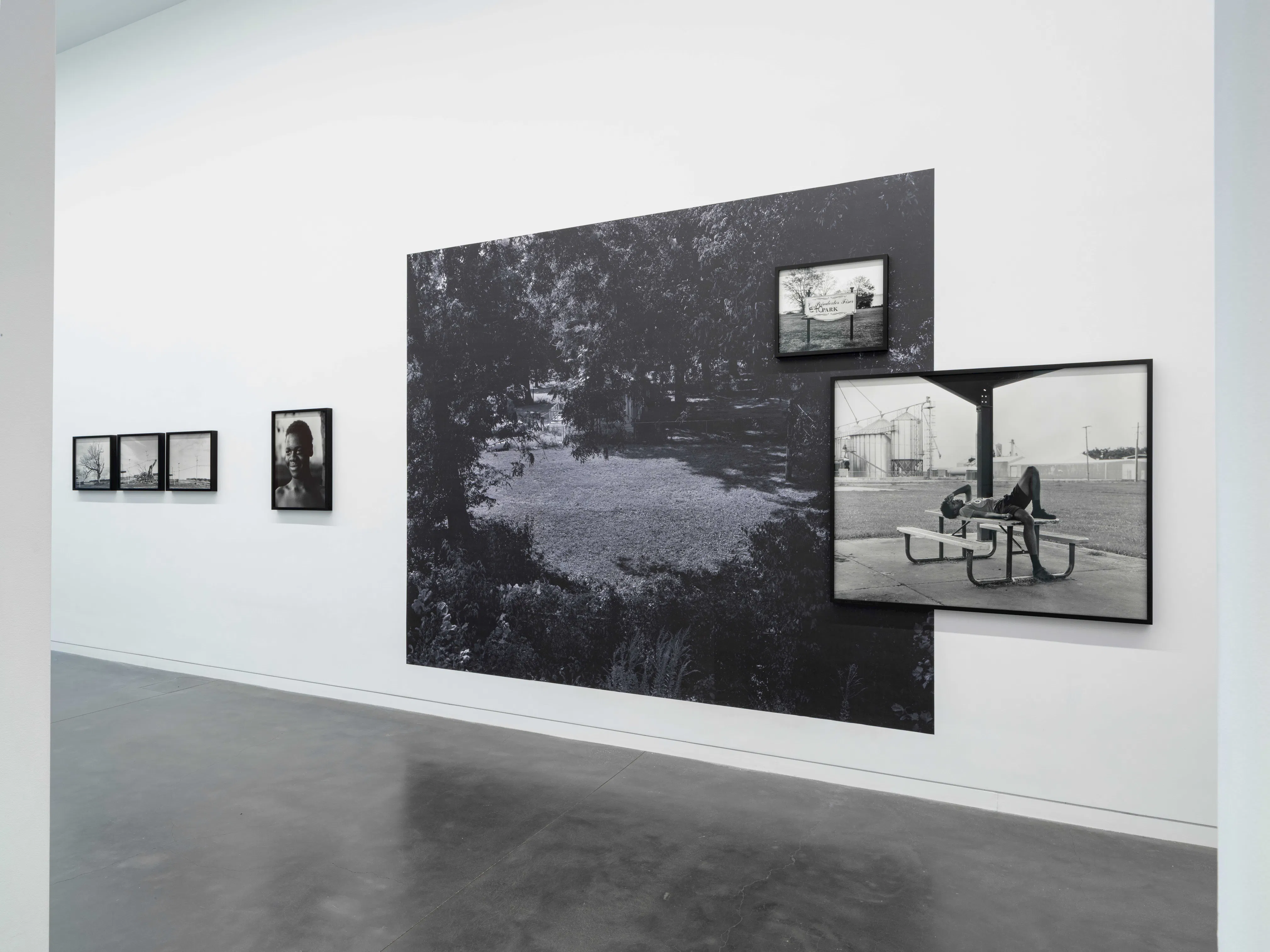 <p><em>Fade</em> (installation view), 2026. Photo: Kris Graves</p>