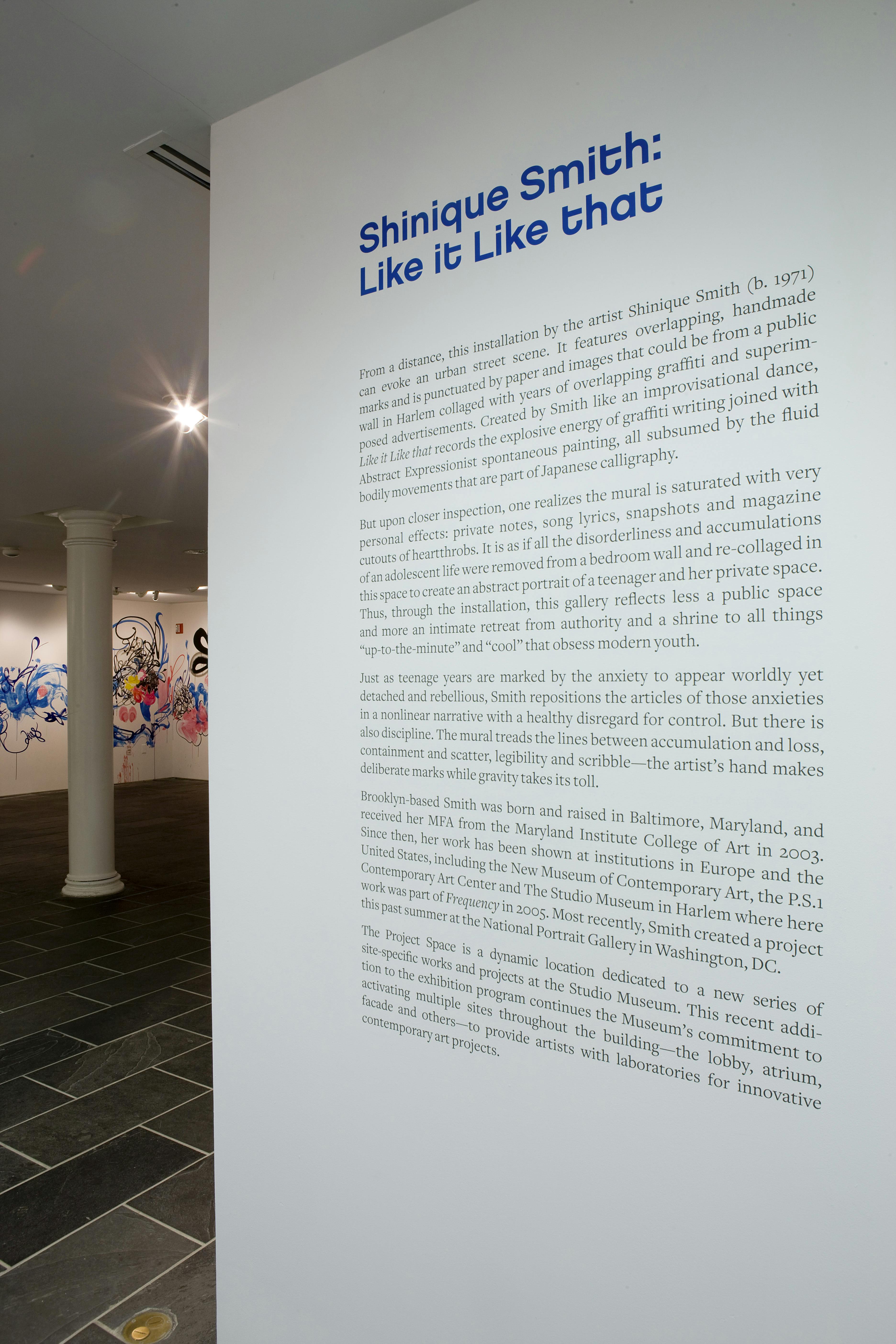 Shinique Smith: Like it Like that (installation view), 2009
Photo: Adam Reich