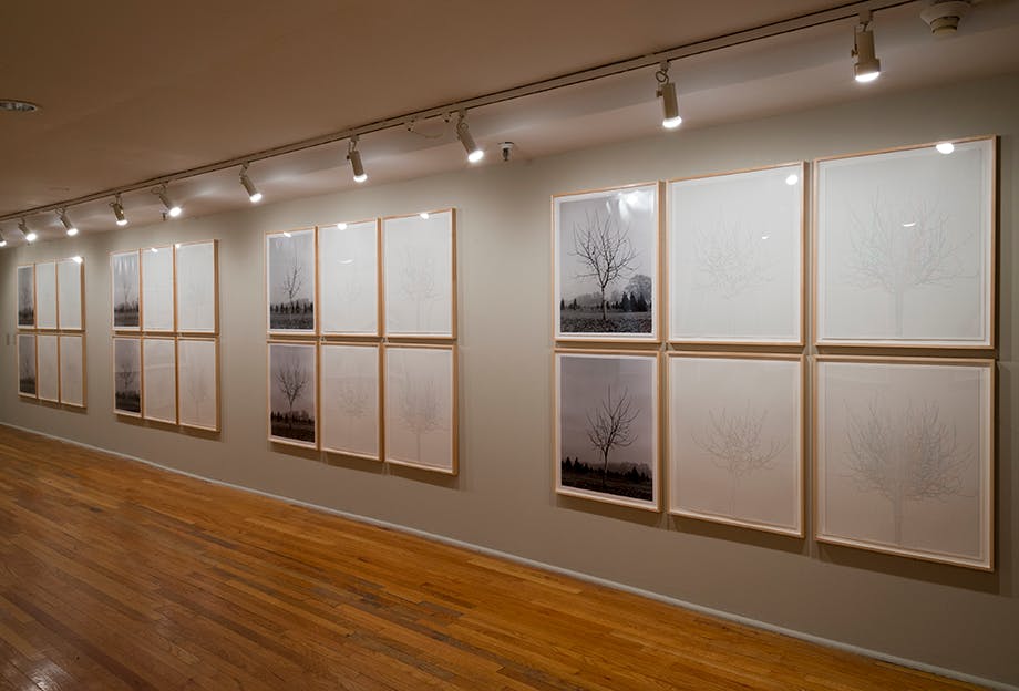 Charles Gaines: Gridwork 1974–1989
July 27 to October 26, 2014, The Studio Museum in Harlem
Photo: Adam Reich