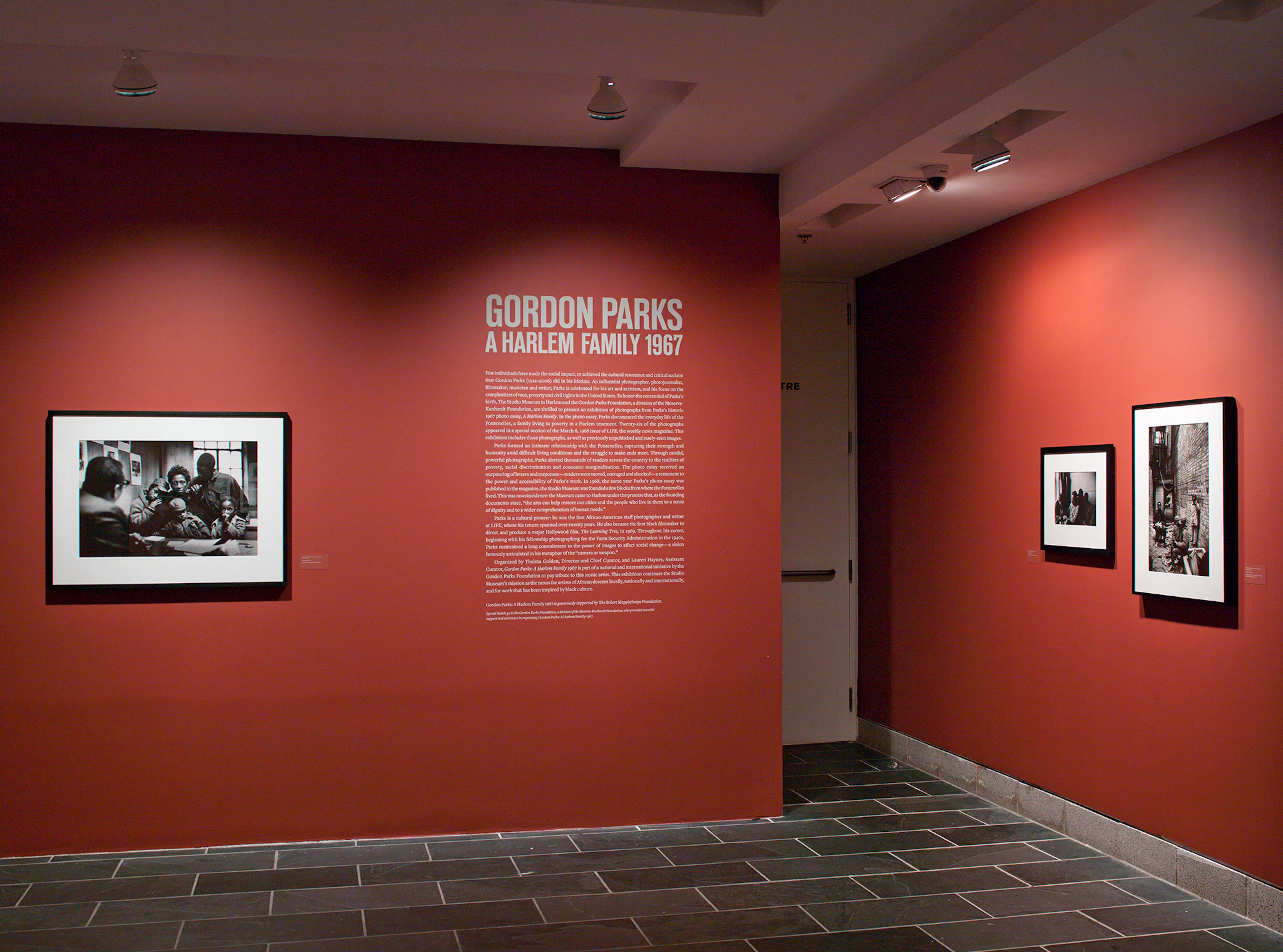 <p><em>Gordon Parks: A Harlem Family 1967</em> (installation view) at the Studio Museum in Harlem, 2012. Photo: Adam Reich</p>