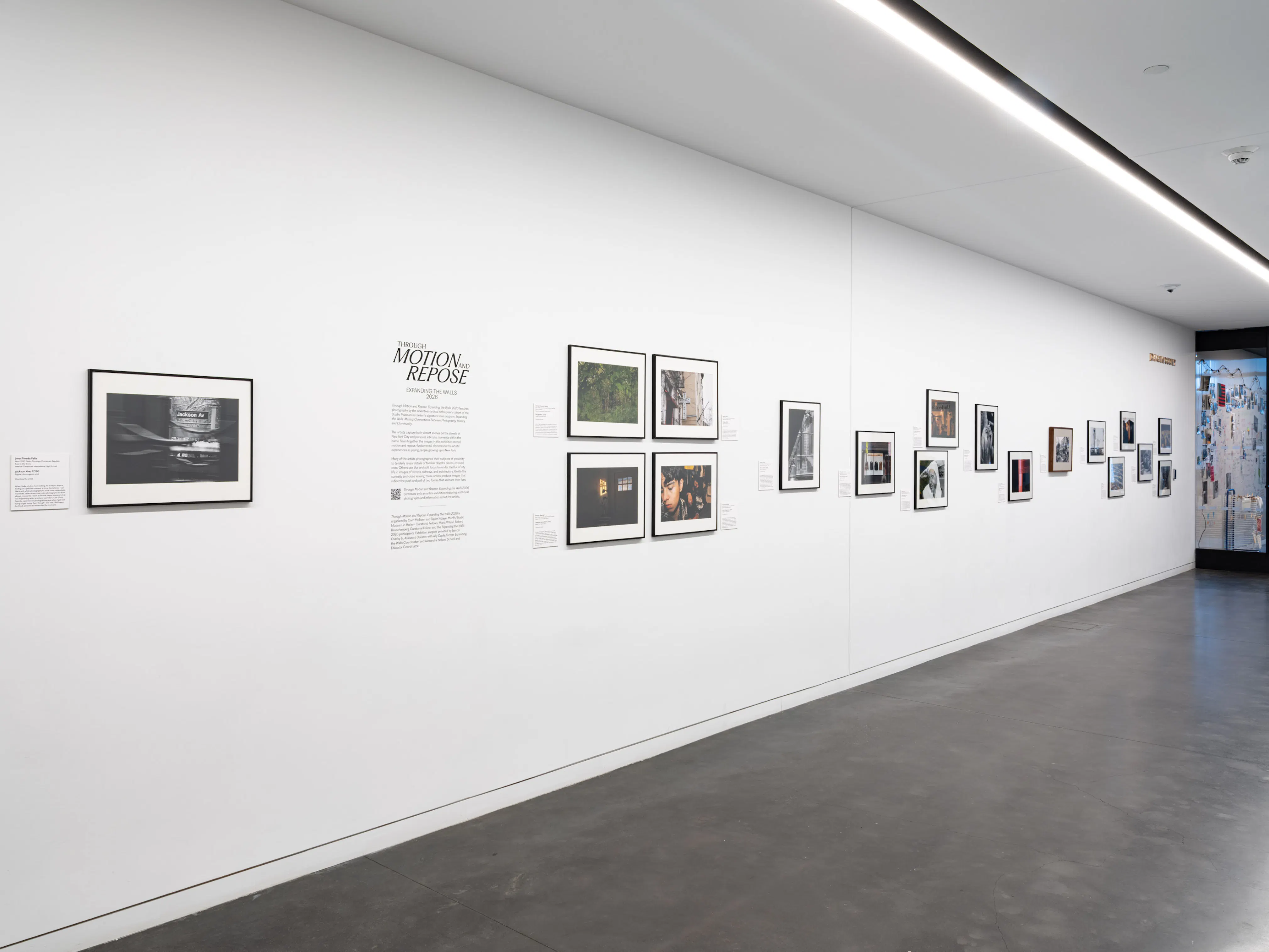 <p><em>Through Motion and Repose: Expanding the Walls 2026</em> (installation view), 2026. Photo: Kris Graves</p>