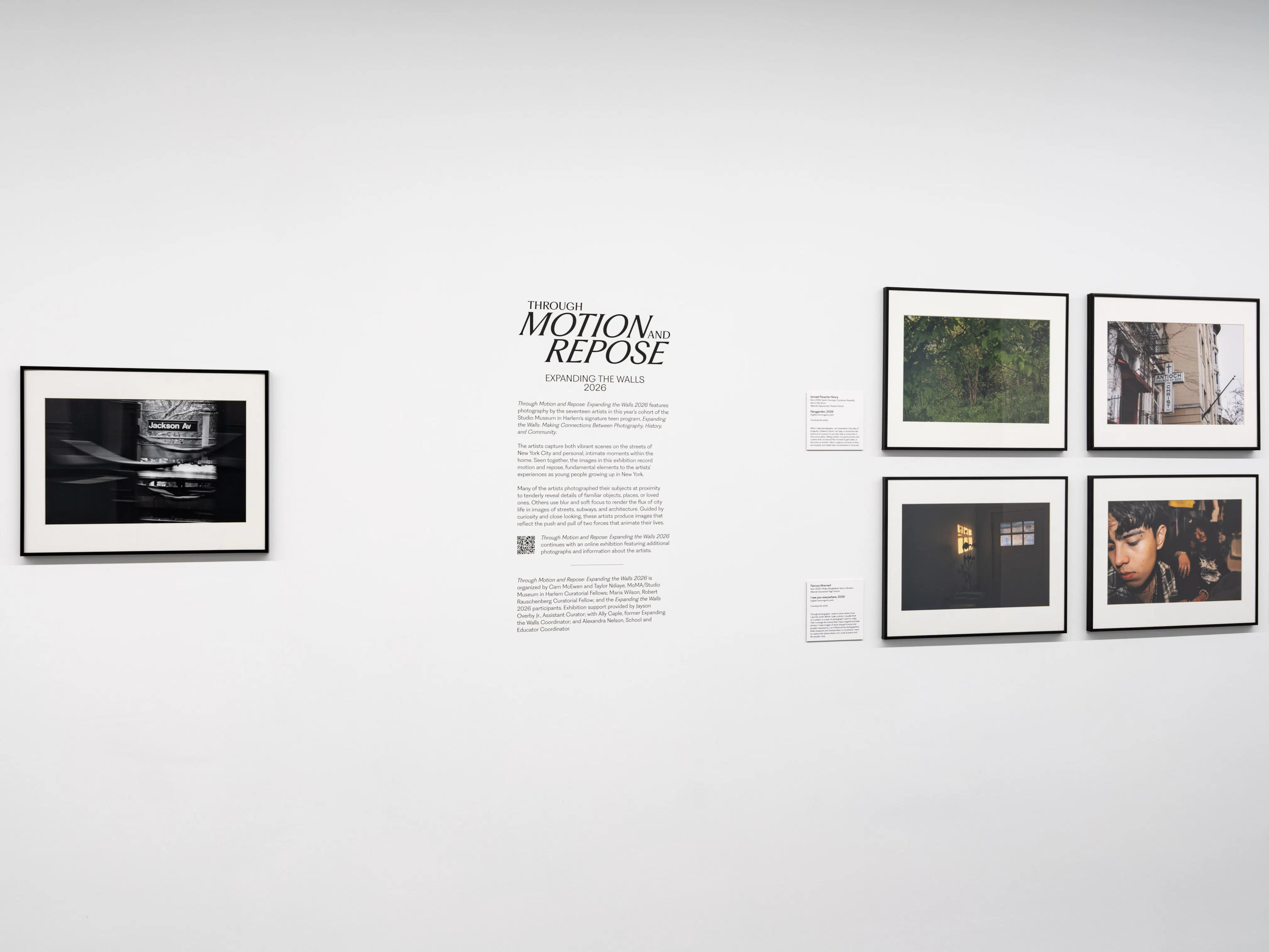 <p>Through Motion and Repose: Expanding the Walls 2026 (installation view), 2026. Photo: Kris Graves</p>