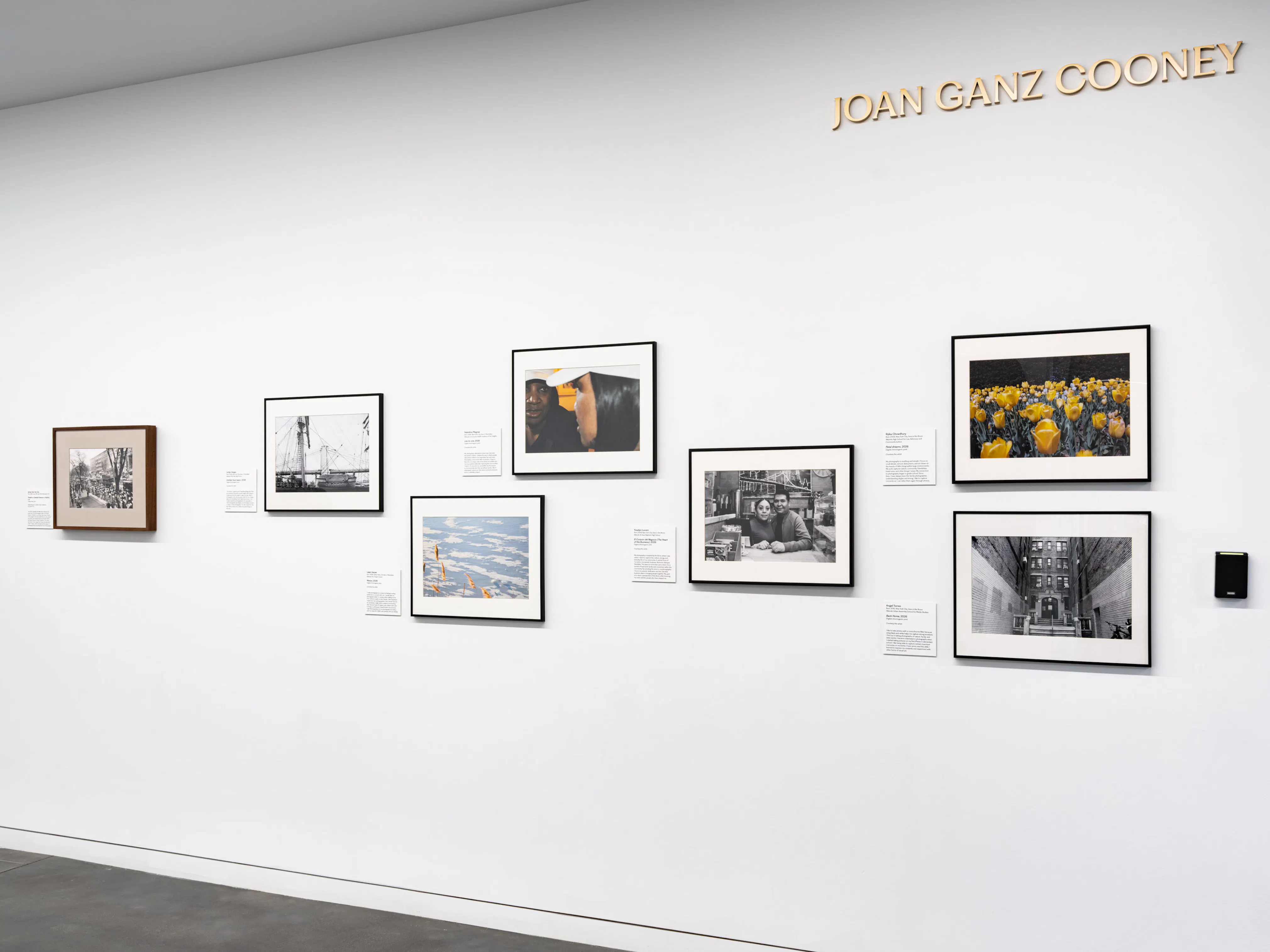 <p><em>Through Motion and Repose: Expanding the Walls 2026</em> (installation view), 2026. Photo: Kris Graves</p>
