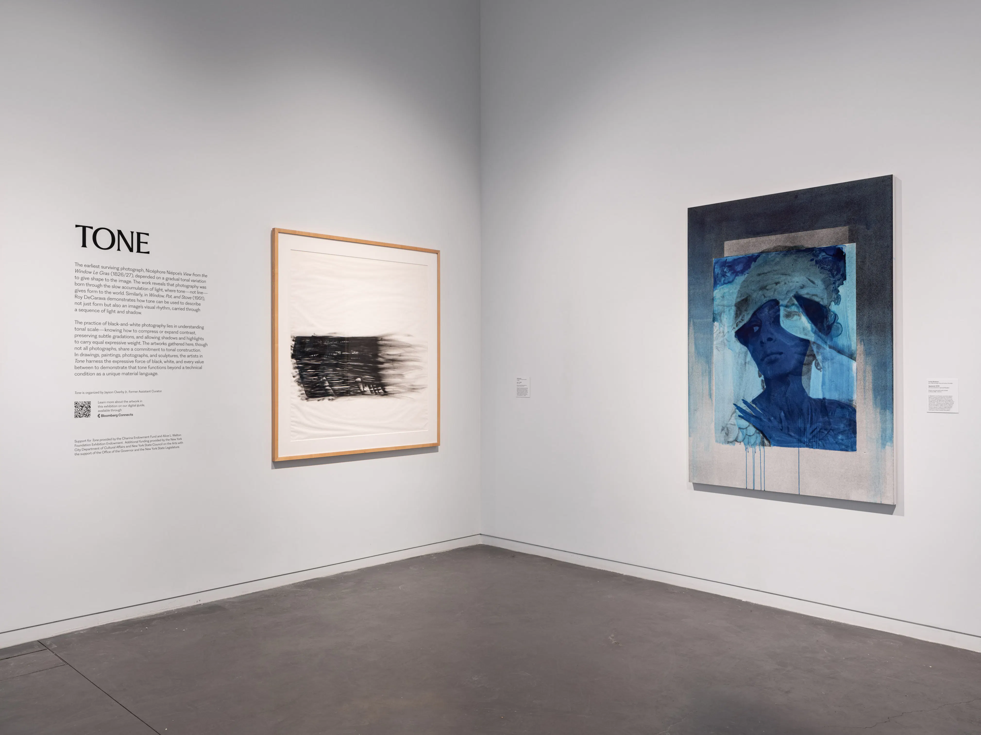 <p><em>Tone</em> (installation view), 2026. Photo: Kris Graves</p>