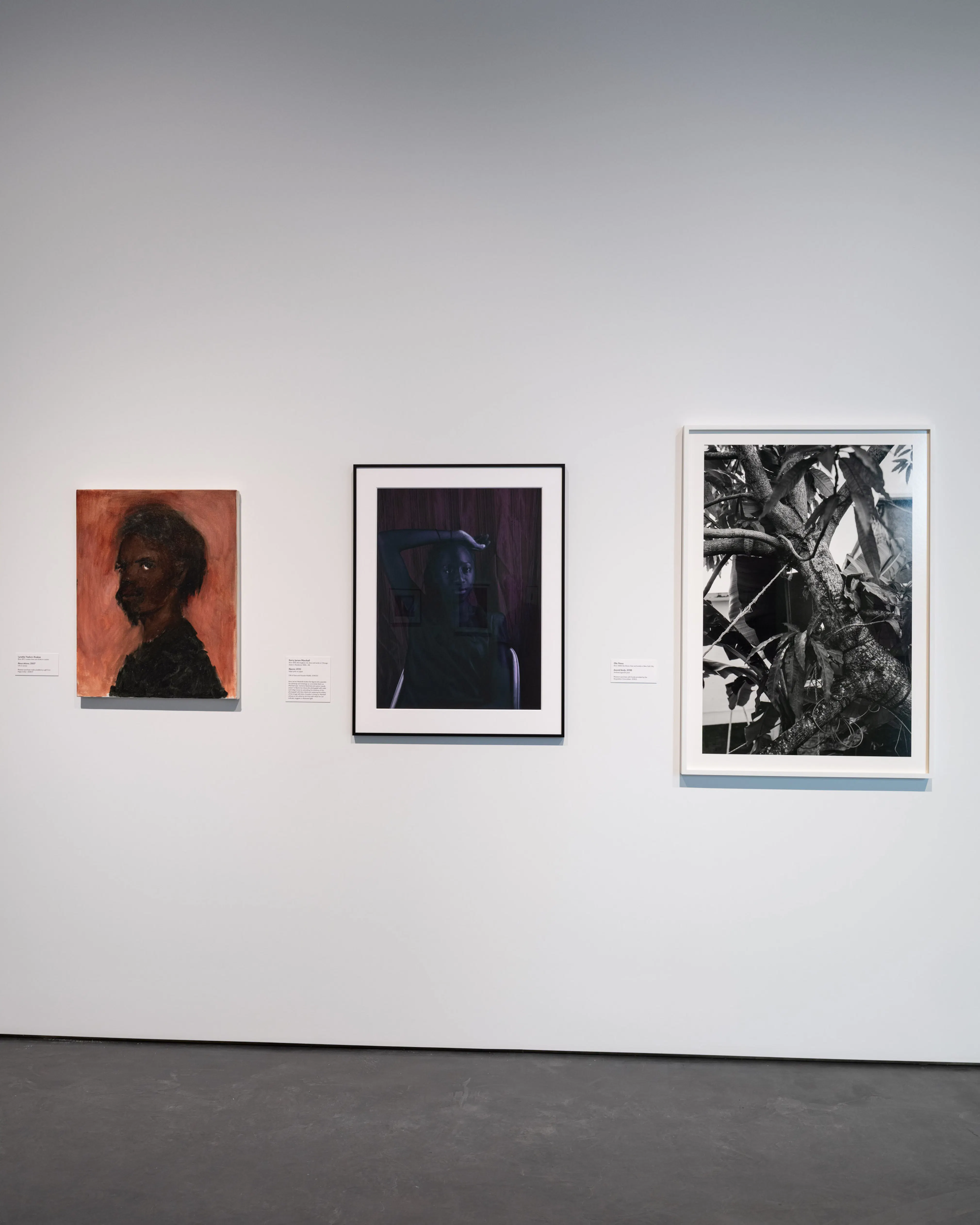 <p><em>Tone</em> (installation view), 2026. Photo: Kris Graves</p>