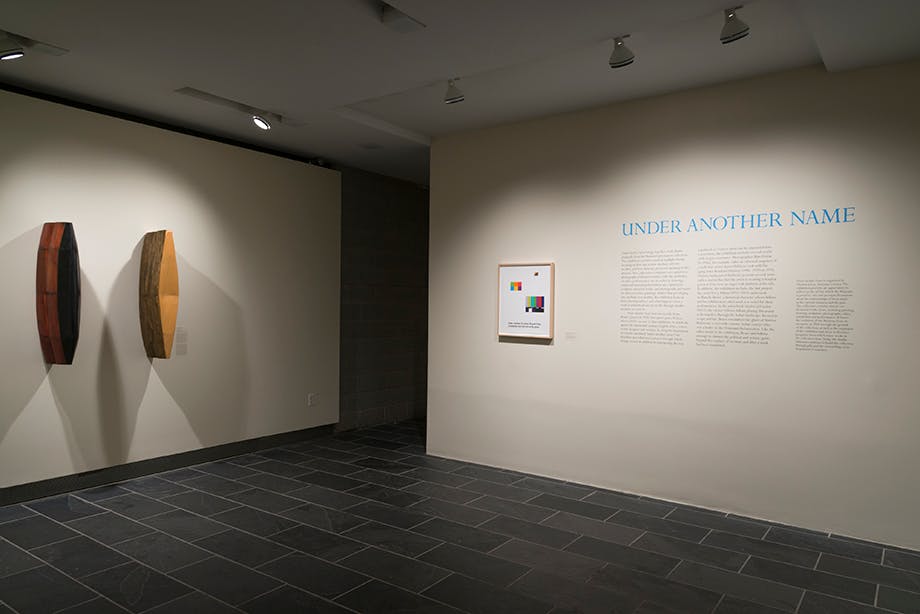 Under Another Name (Installation View) at The Studio Museum in Harlem, 2014.