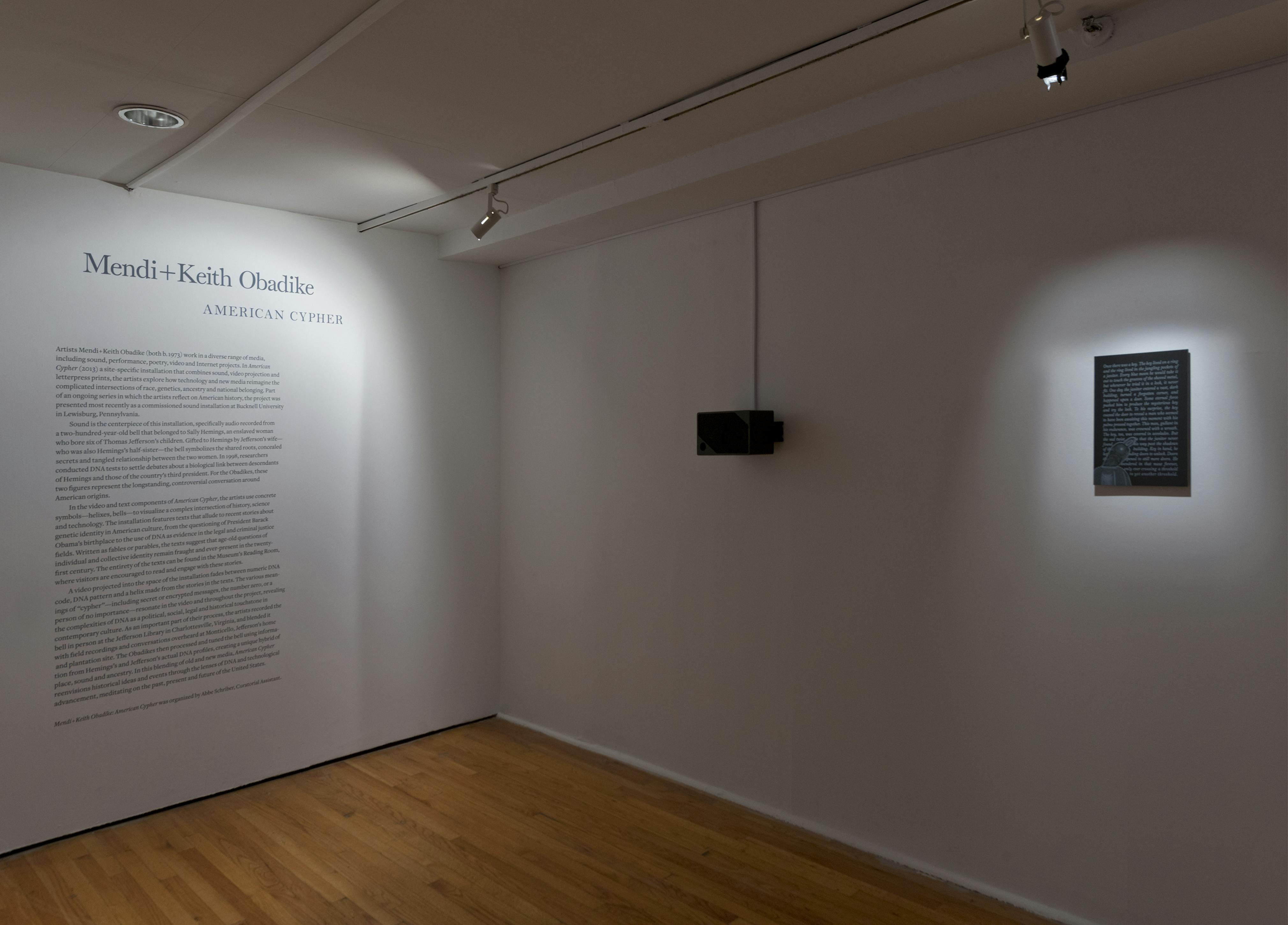 Mendi + Keith Obadike: American Cypher (installation view)
	Photo: Adam Reich