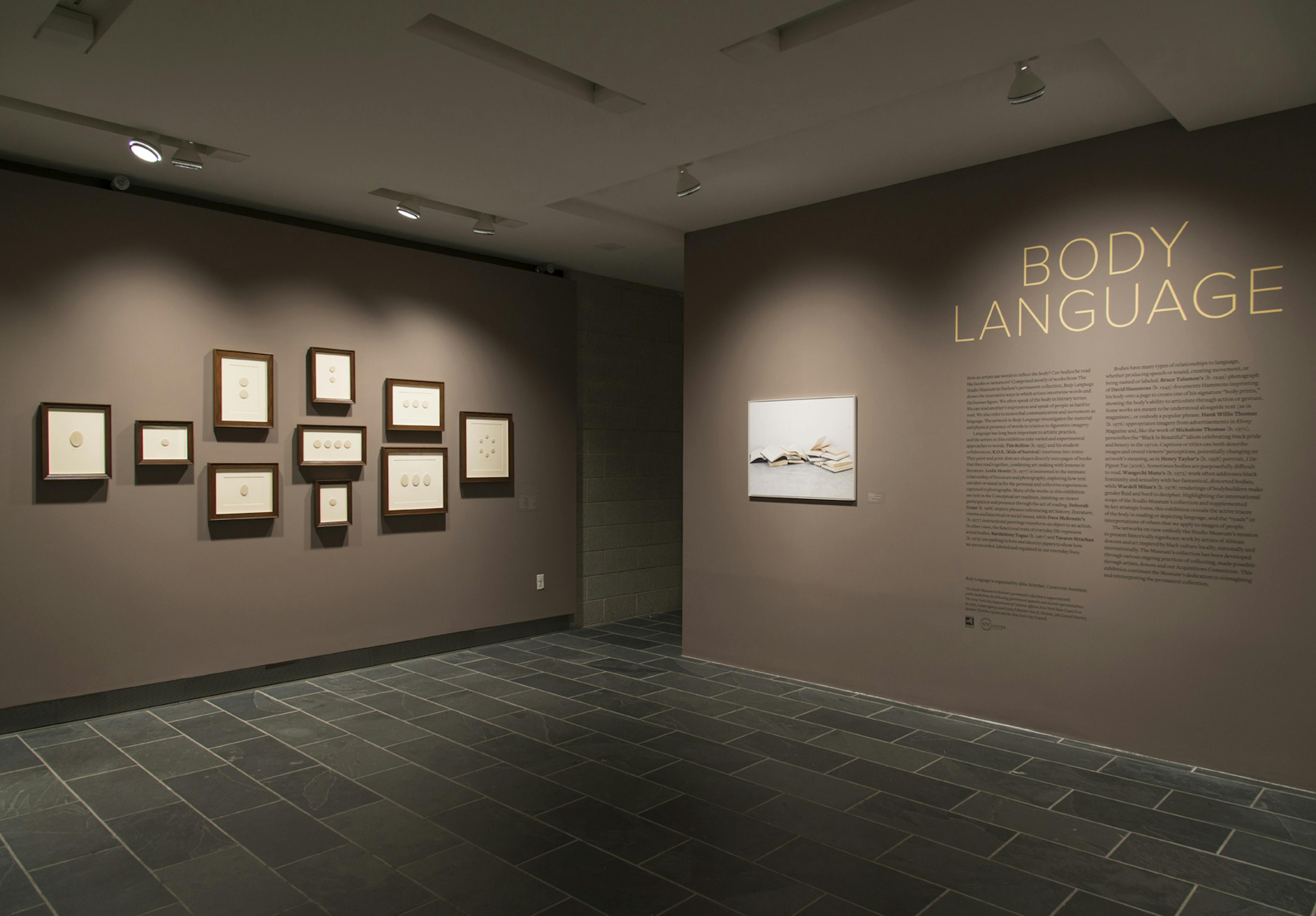 Installation view of Body Language
	Photo: Adam Reich