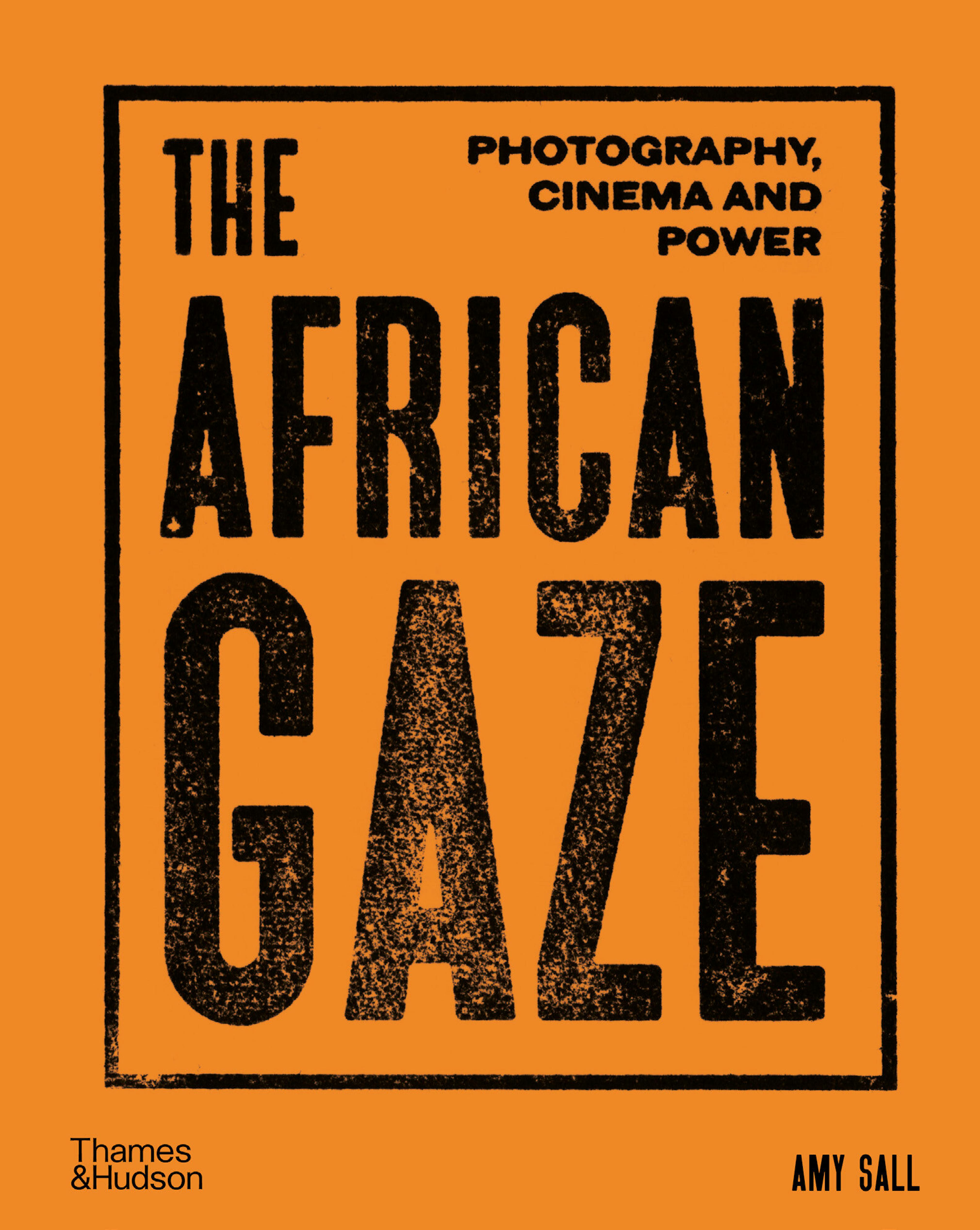 <p><em>The African Gaze: Photography, Cinema and Power </em>by Amy Sall courtesy Thames and Hudson<br /></p>