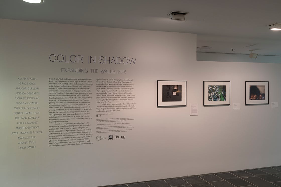Color in Shadow: Expanding the Walls 2016 (Installation View) at The Studio Museum in Harlem, 2016. Photo: Adam Reich.