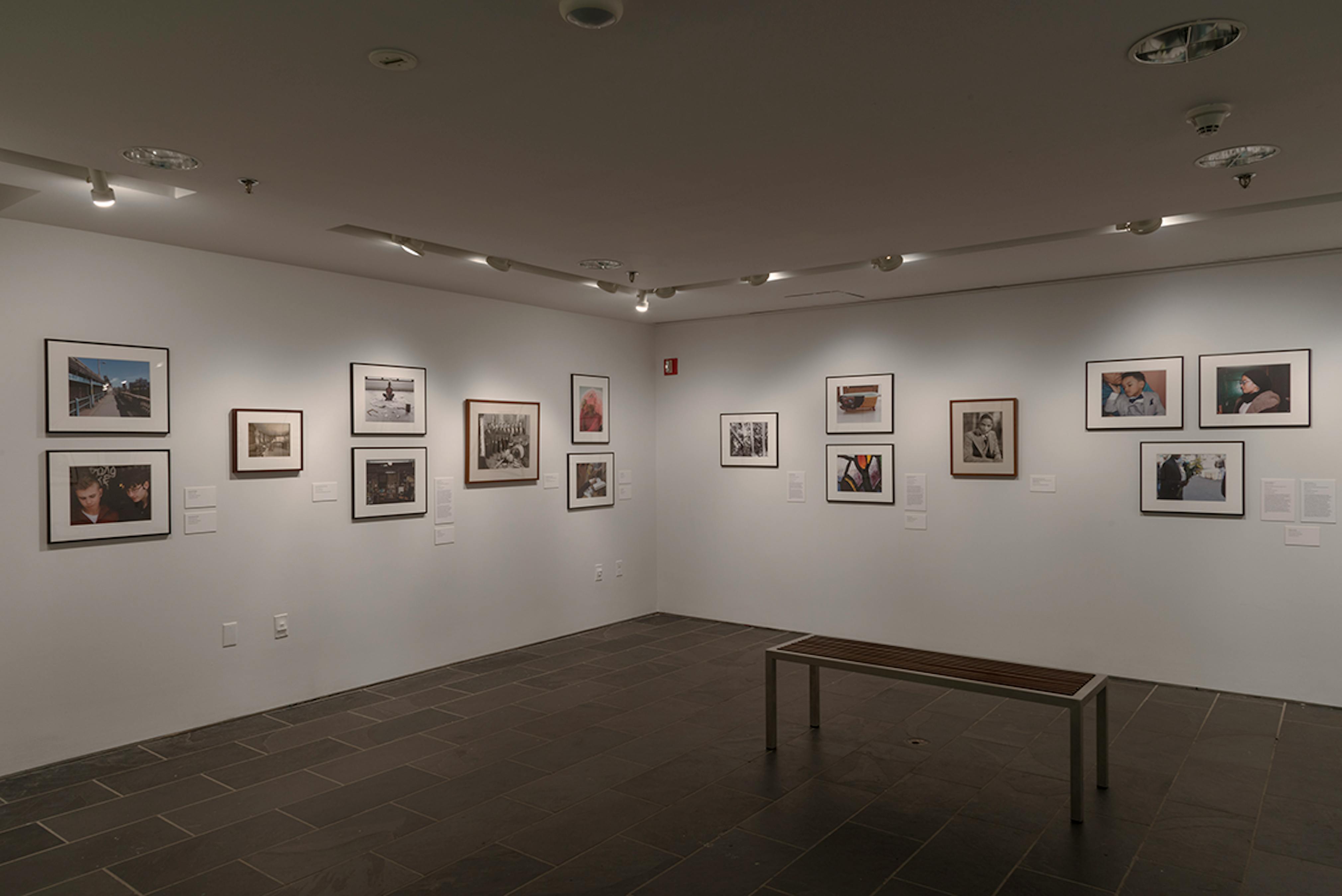 Color in Shadow: Expanding the Walls 2016 (Installation View) at The Studio Museum in Harlem, 2016. Photo: Adam Reich.