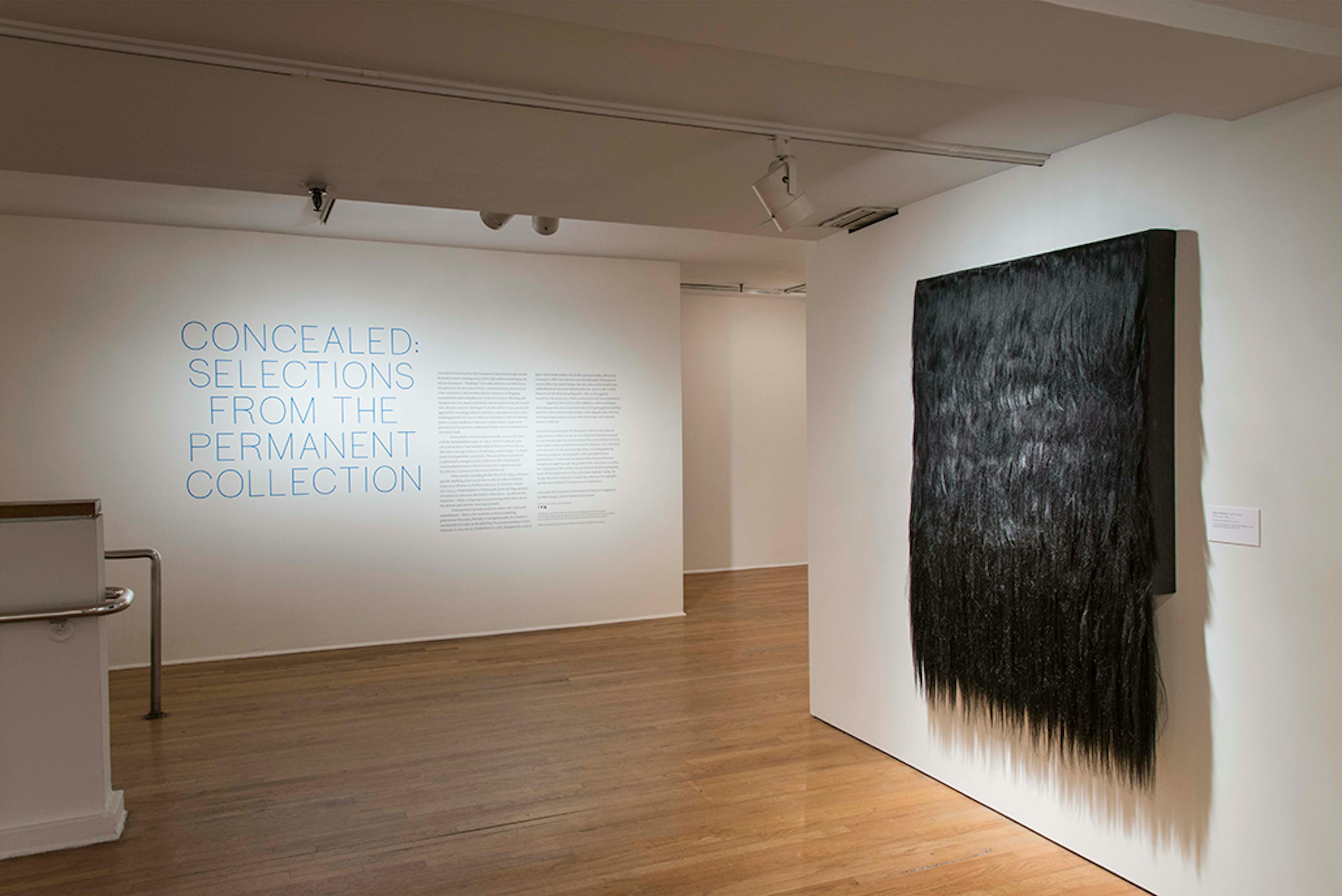 Concealed and Salon Style (Installation view) at The Studio Museum in Harlem, 2015. Photo: Adam Reich.