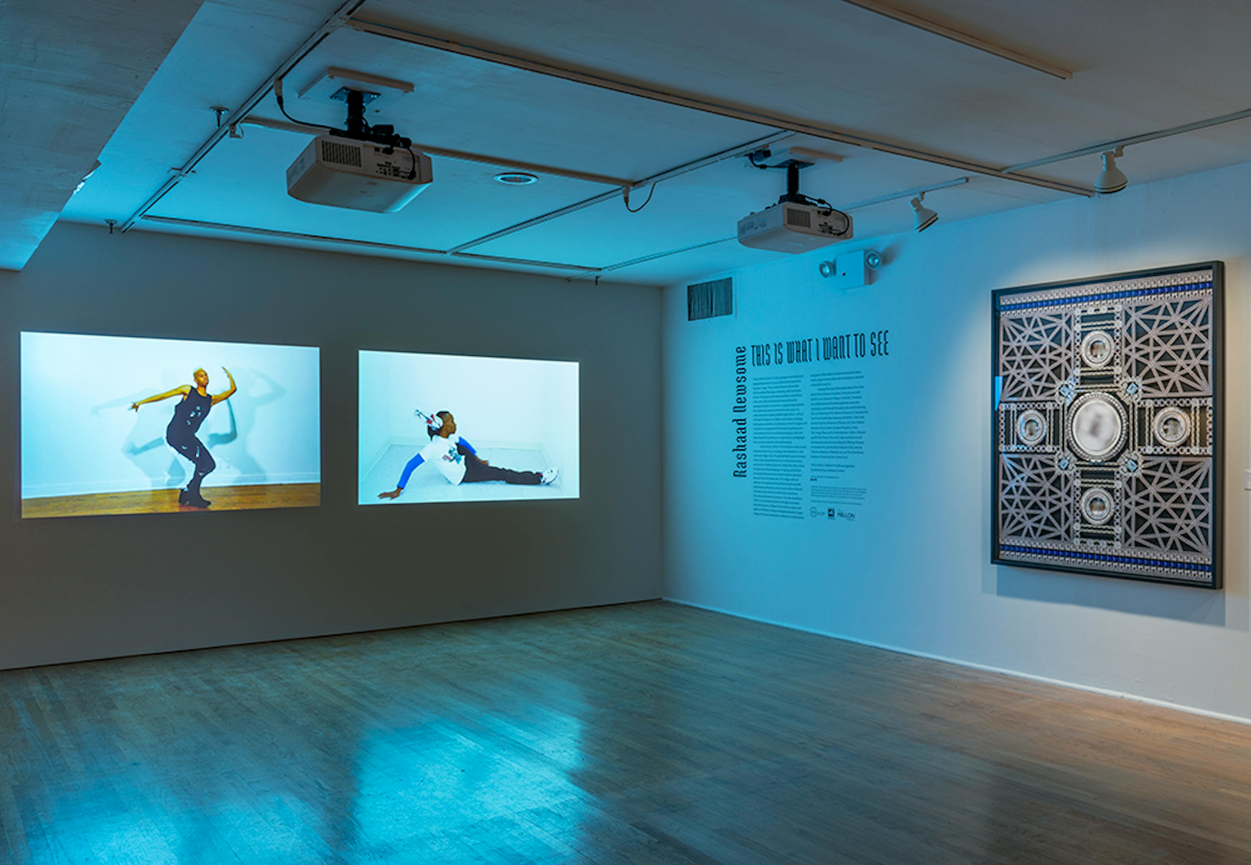 Rashaad Newsome: This is What I Want to See (Installation View) at The Studio Museum in Harlem, 2016. Photo: Adam Reich.