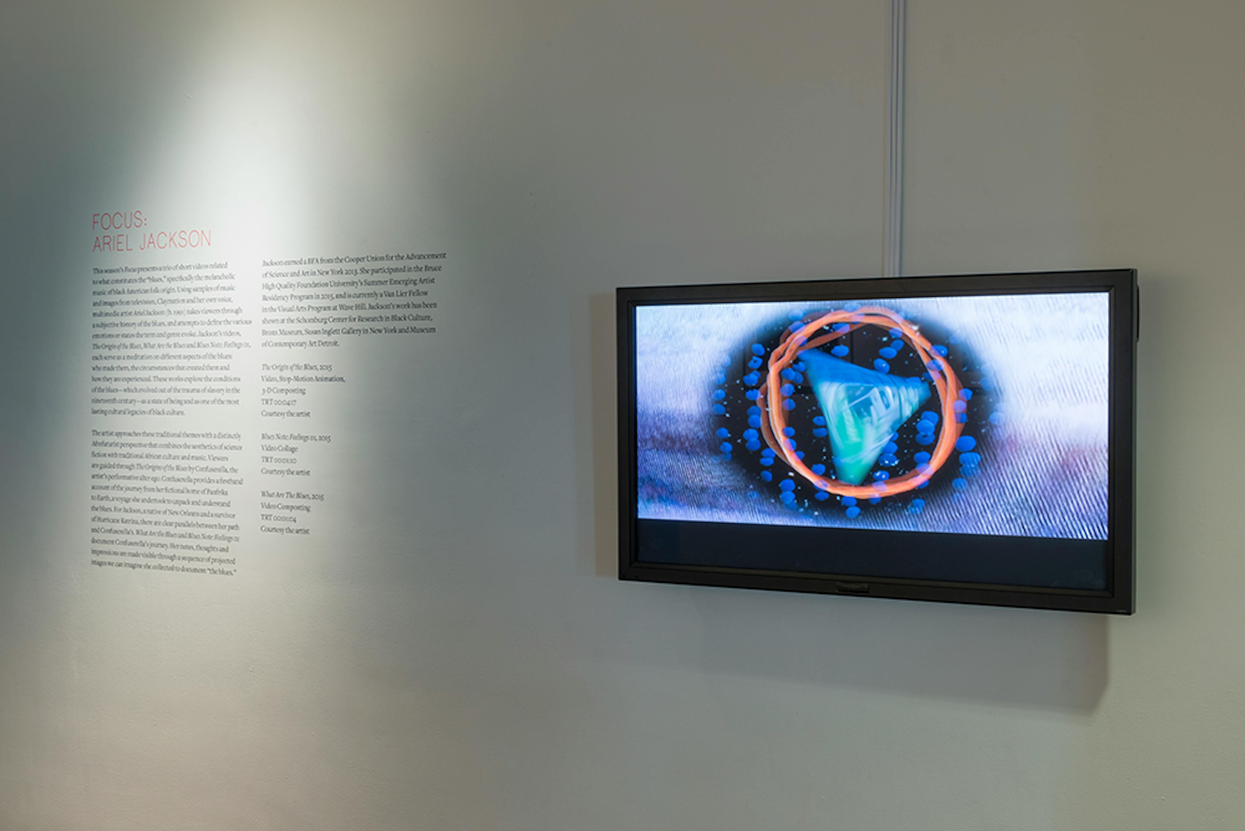 Focus: Ariel Jackson (Installation View) at The Studio Museum in Harlem, 2016–2017. Photo: Adam Reich.