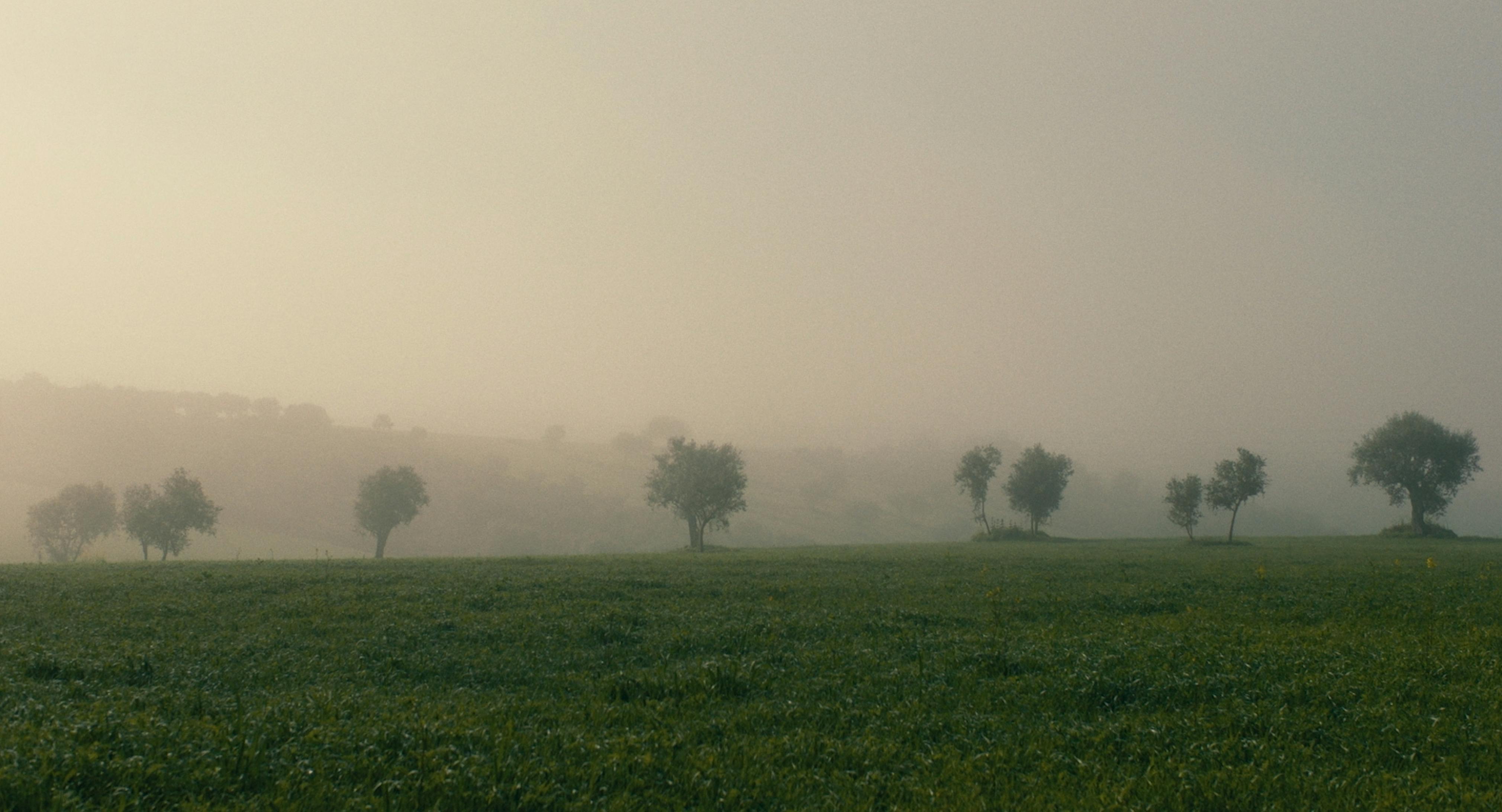 Dozie Kanu, ARS JUS PAX, 2019. Video Still.