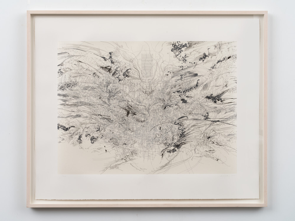 Julie Mehretu | Studio Museum in Harlem