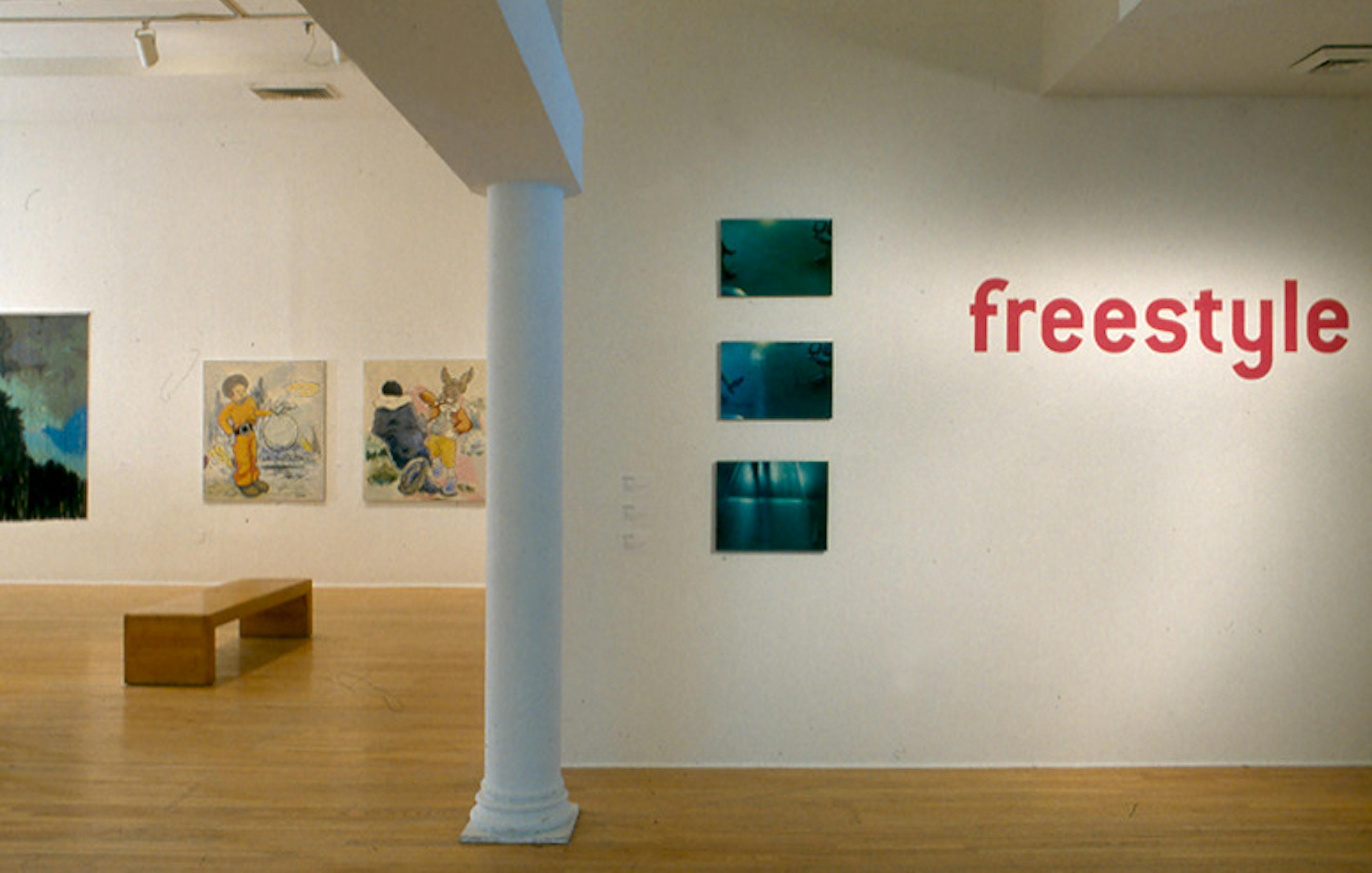<p><em>Freestyle</em> (installation view), 2001. Photo: Adam Reich</p>