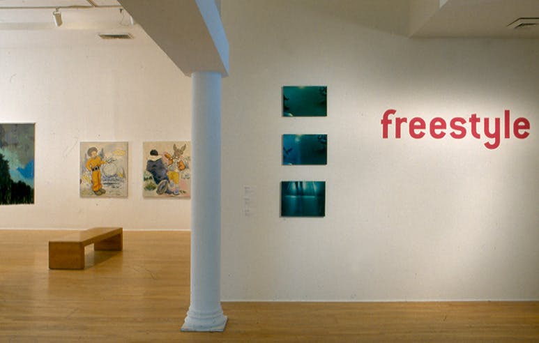 <p><em>Freestyle</em> (installation view), 2001. Photo: Adam Reich</p>