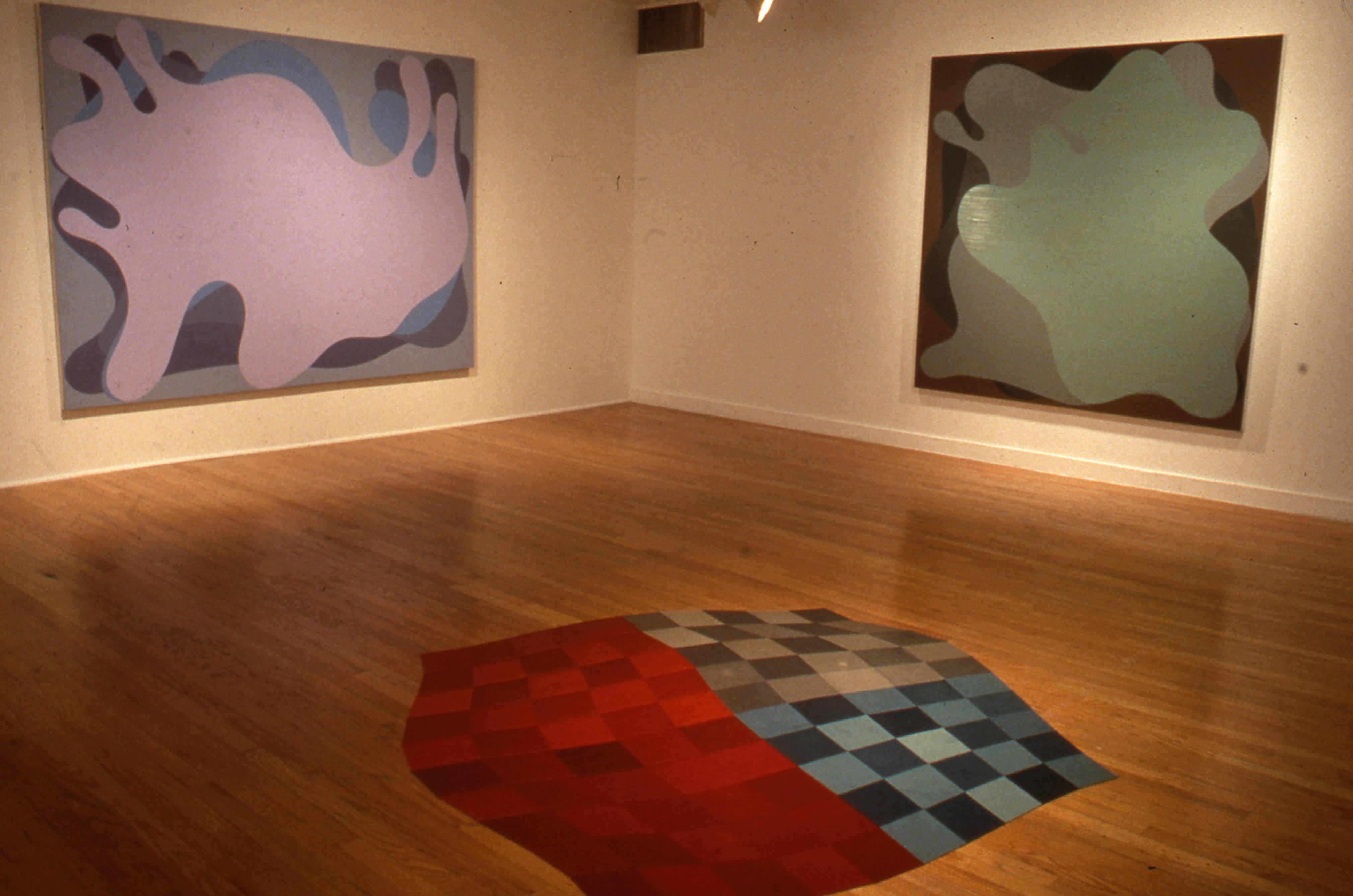 <p><em>Freestyle</em> (installation view), 2001. Photo: Adam Reich</p>