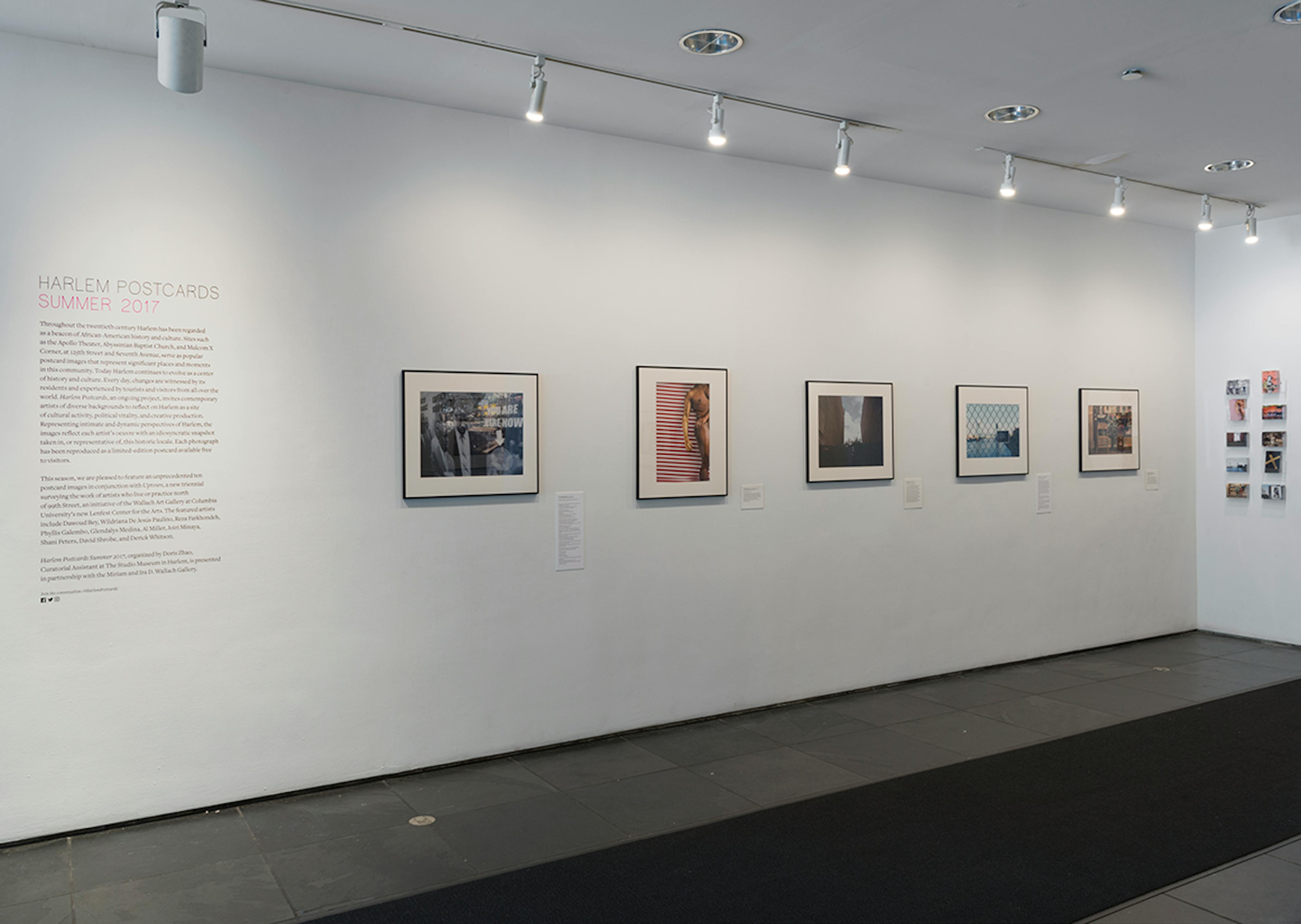 Harlem Postcards: Summer 2017 (installation view). Photo: Adam Reich