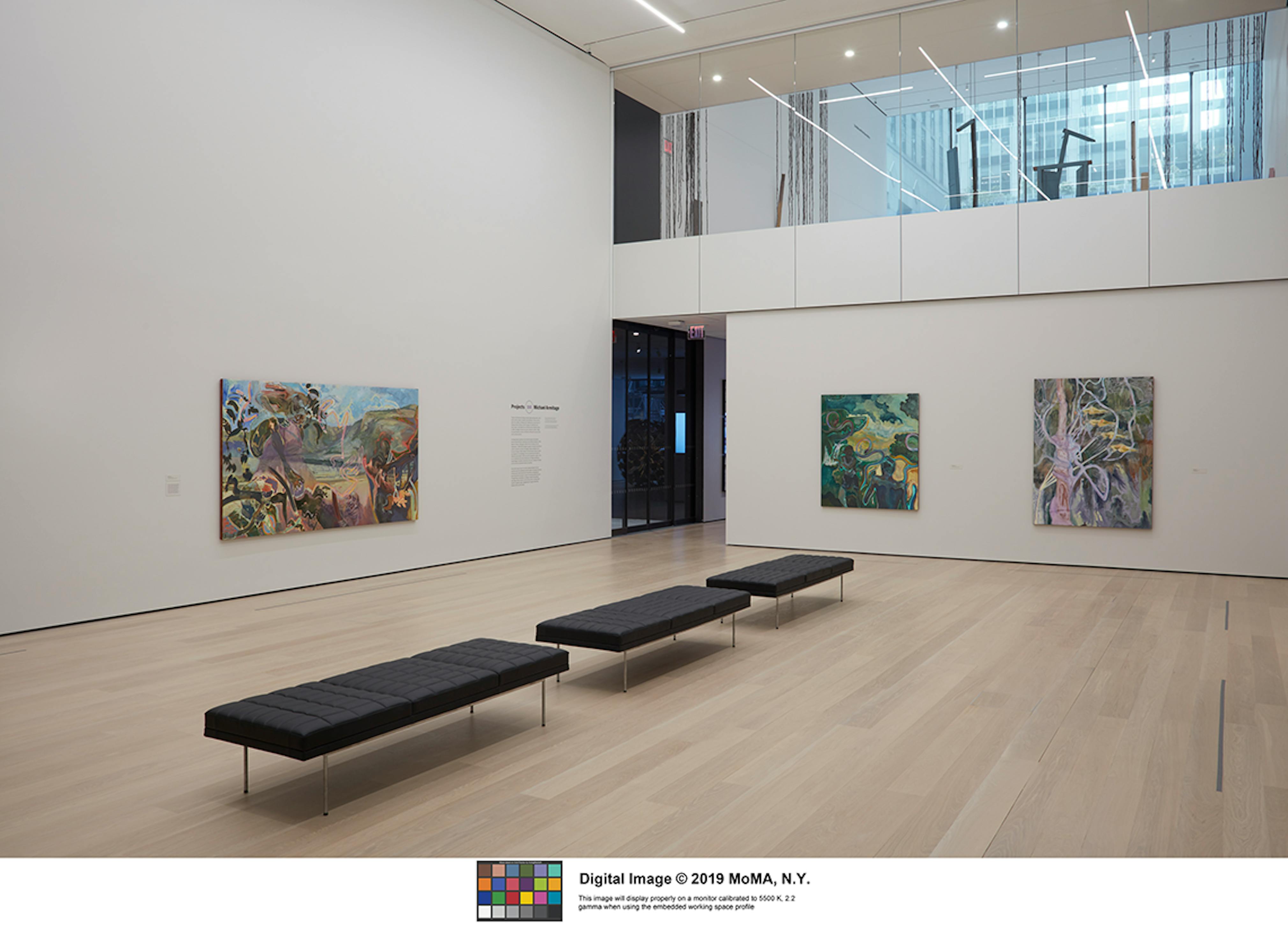 Installation shots of "Projects 110: Michael Armitage" at MoMA (2019)
Photo: Heidi Bohnenkamp