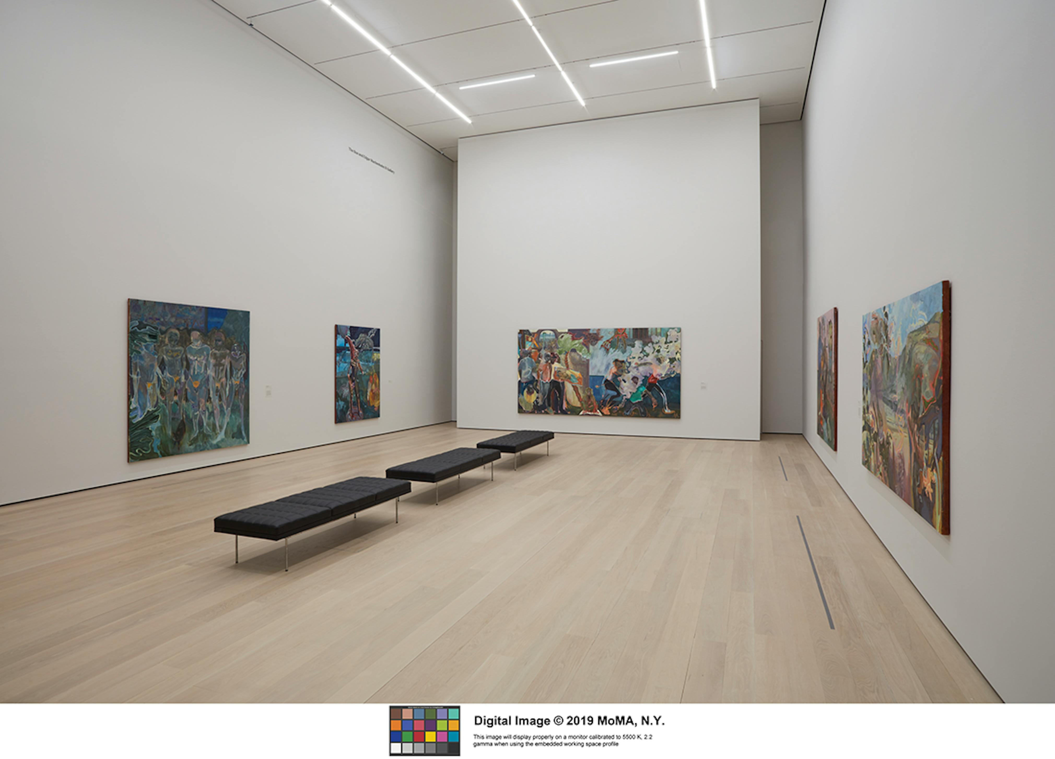 Installation shots of "Projects 110: Michael Armitage" at MoMA (2019)
Photo: Heidi Bohnenkamp