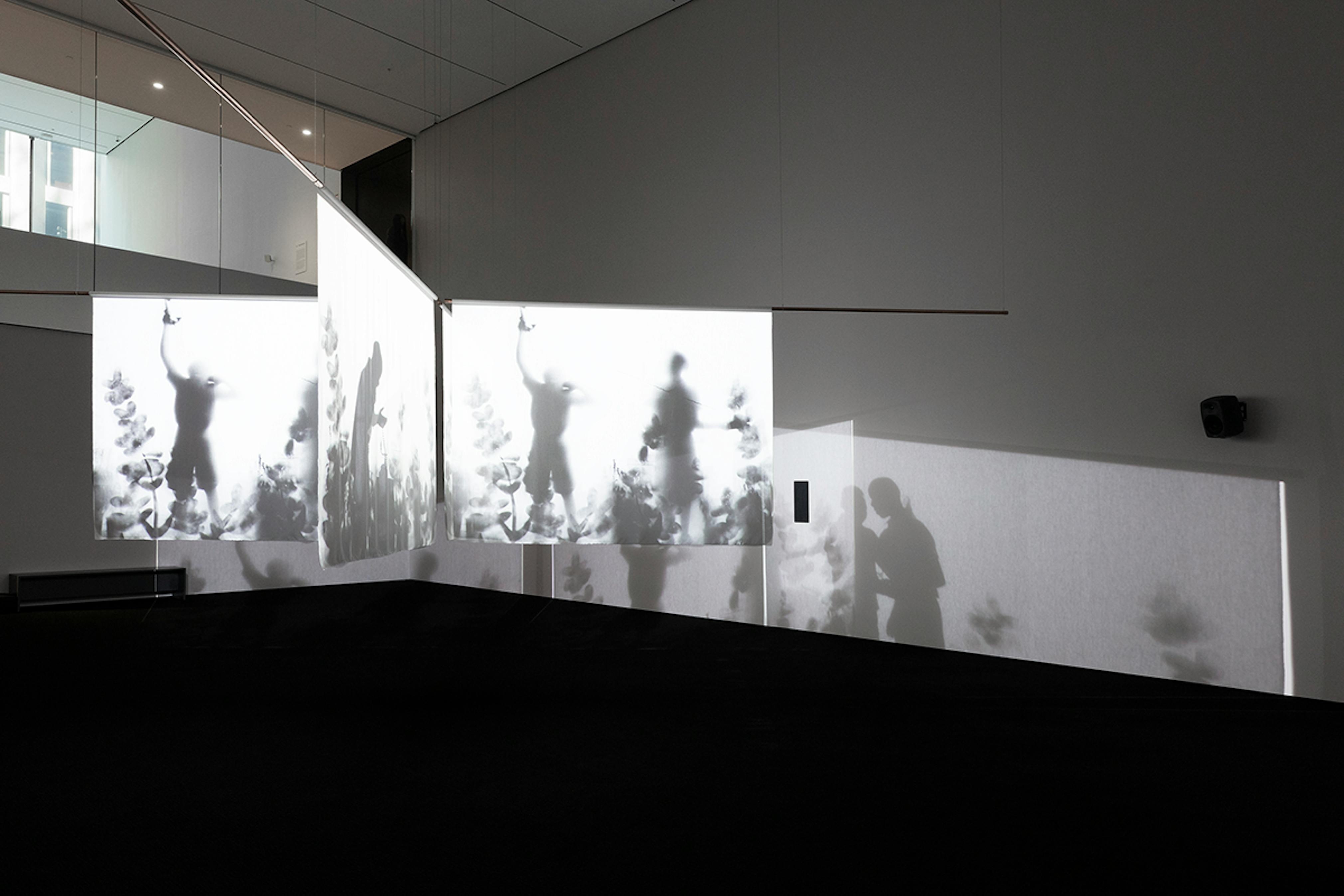 Projects: Garrett Bradley (installation view), 2021.
Photo: Robert Gerhardt for The Museum of Modern Art