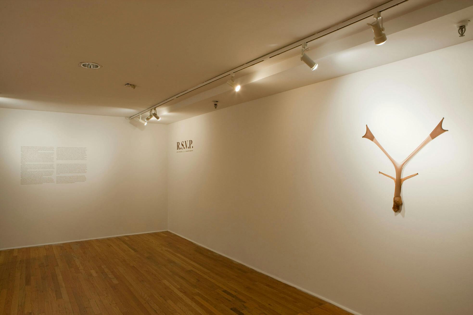 Installation View
Photo: Adam Reich