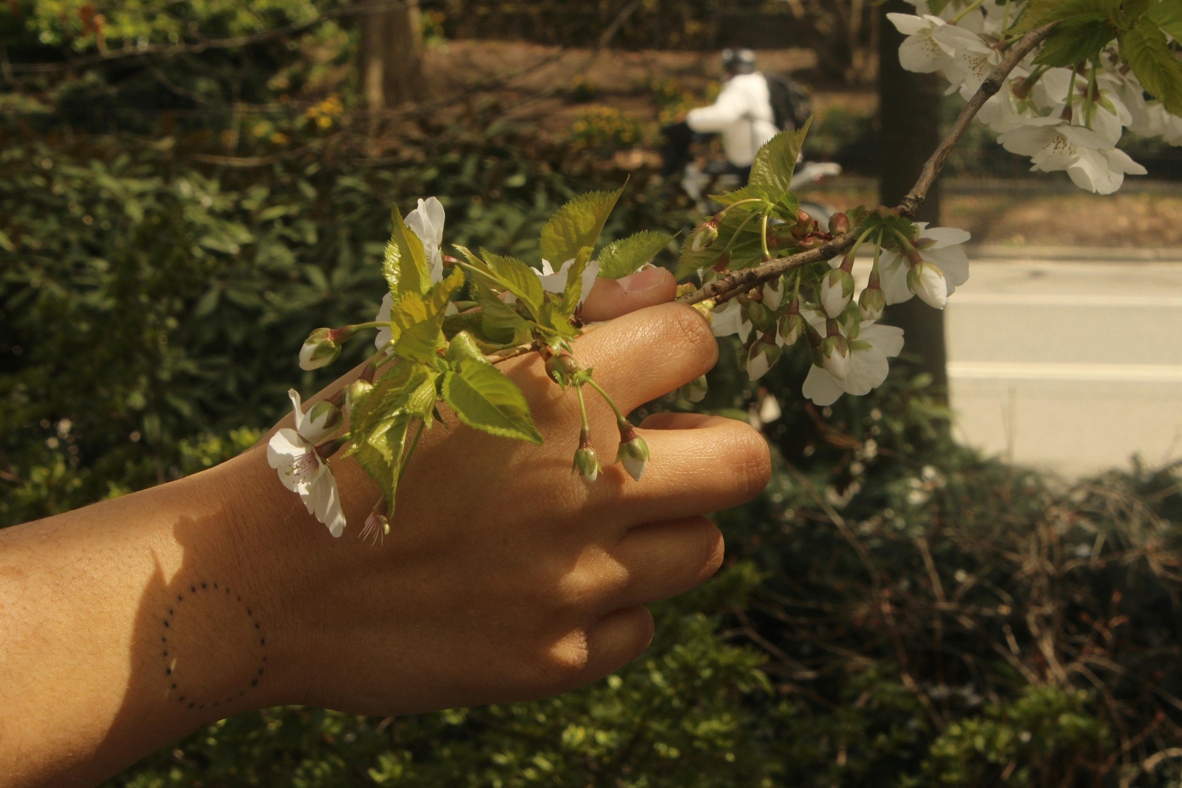 <p>Johnna Bagley, <em>Ally (Sunlight)</em>, 2024. Digital inkjet print, 16 × 20 in. Studio Museum in Harlem; <em>Expanding the Walls: Making Connections Between Photography, History, and Community</em> Collection</p>