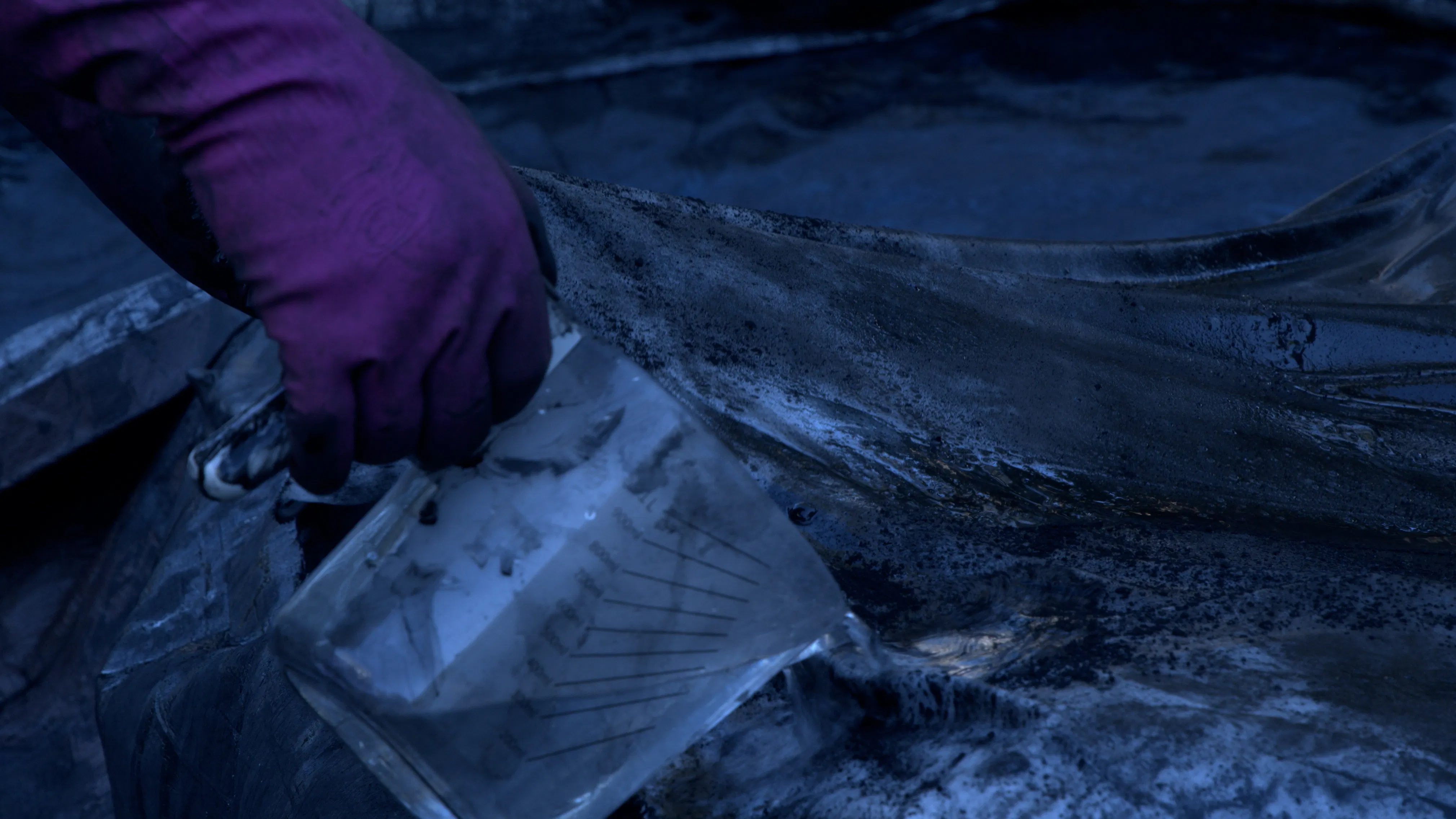 <p>Video stills from dye gathering: Grant Owens</p>