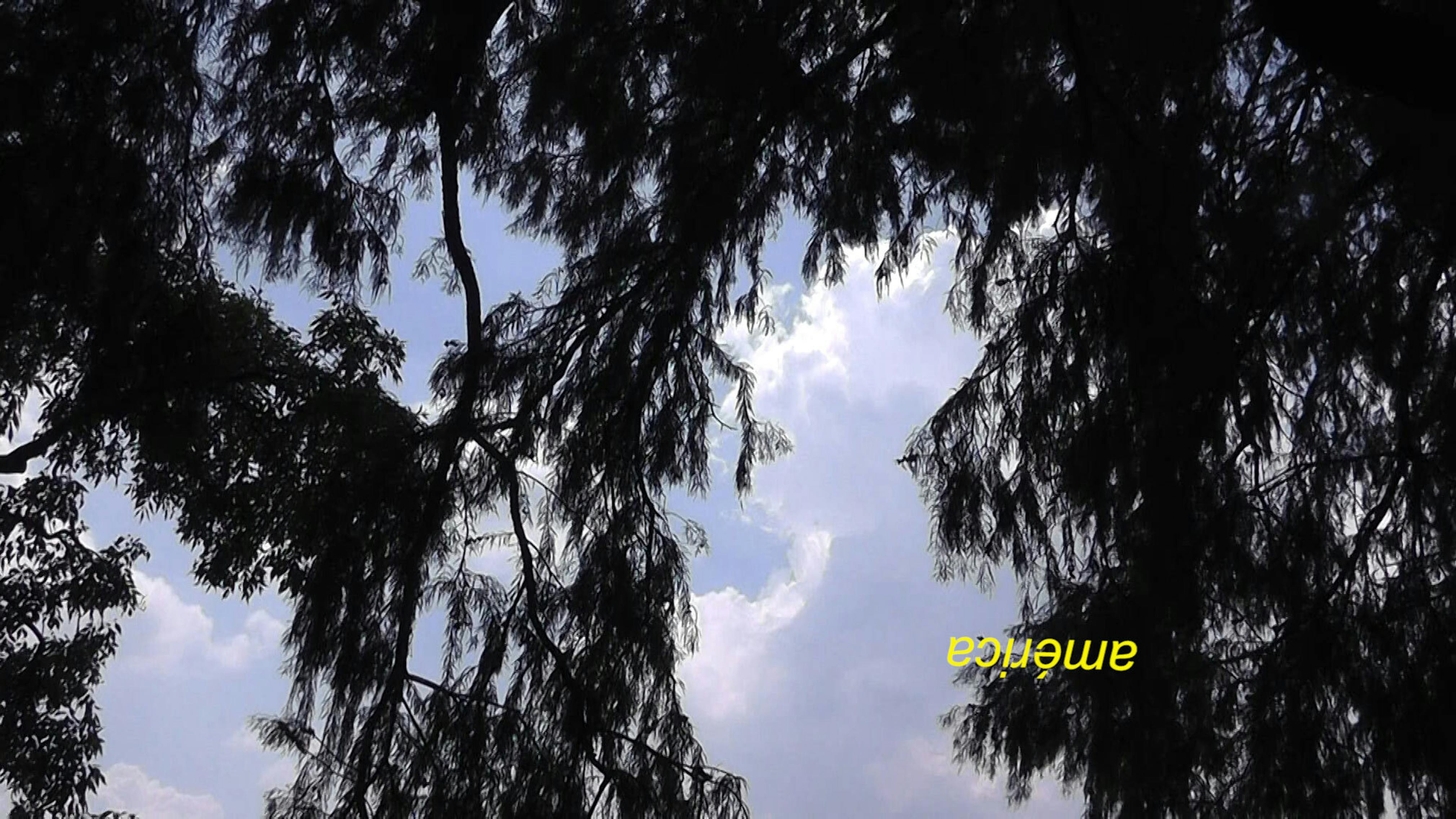 Miatta Kawinzi, La Tercera Raíz, 2015. Video Still.