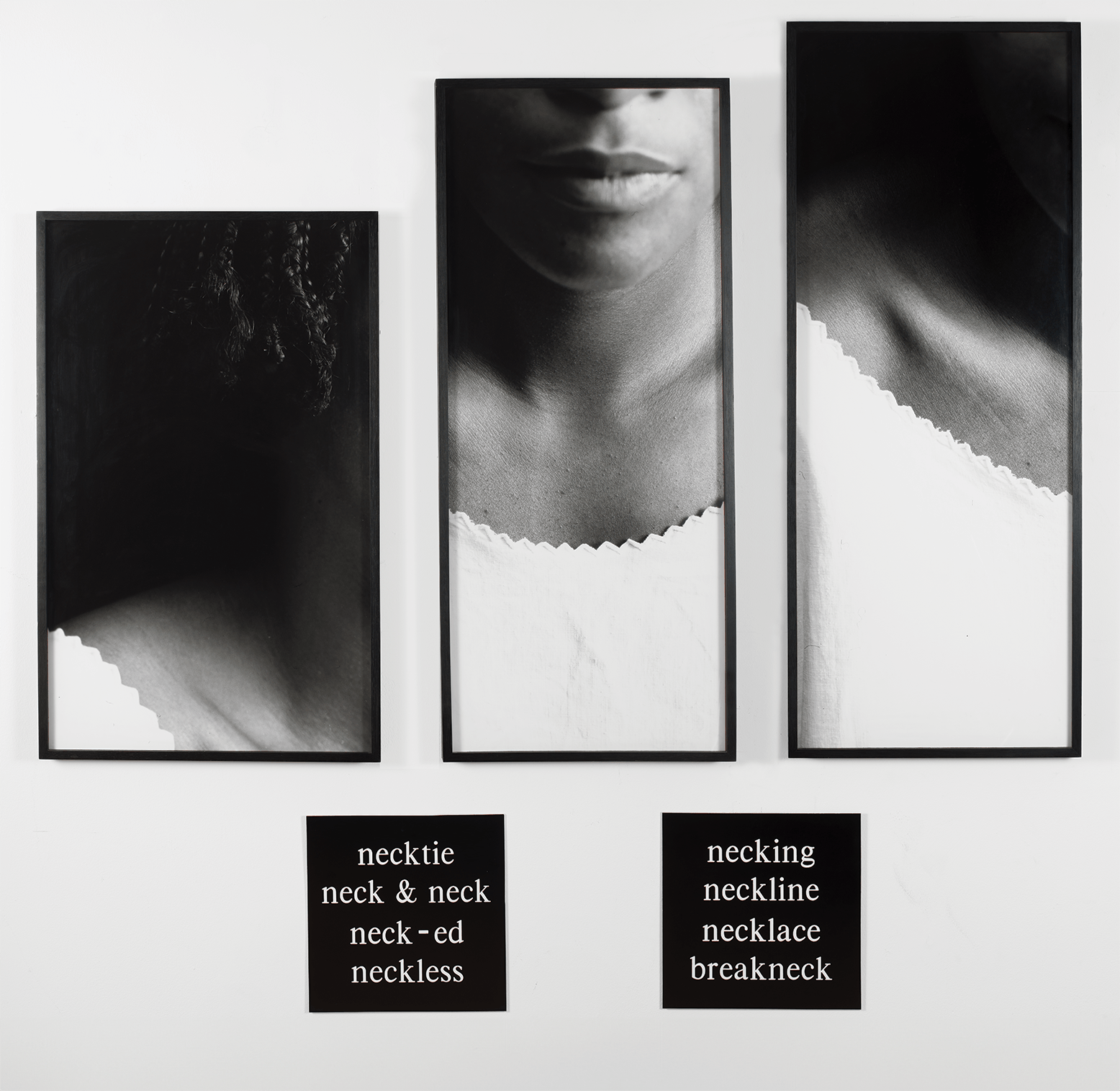 <p>Lorna Simpson, <em><a href="https://www.studiomuseum.org/artworks/necklines" target="_blank" rel="noreferrer noopener">Necklines</a></em>, 1989.</p>
<p>Three silver gelatin prints, two engraved plastic plaques</p>
<p>69 3/8 x 67 5/8 x 1 5/8 in.</p>
<p>The Studio Museum in Harlem; gift of Emily and Jerry Spiegel, New York</p>
<p>2003.2.5a-e</p>