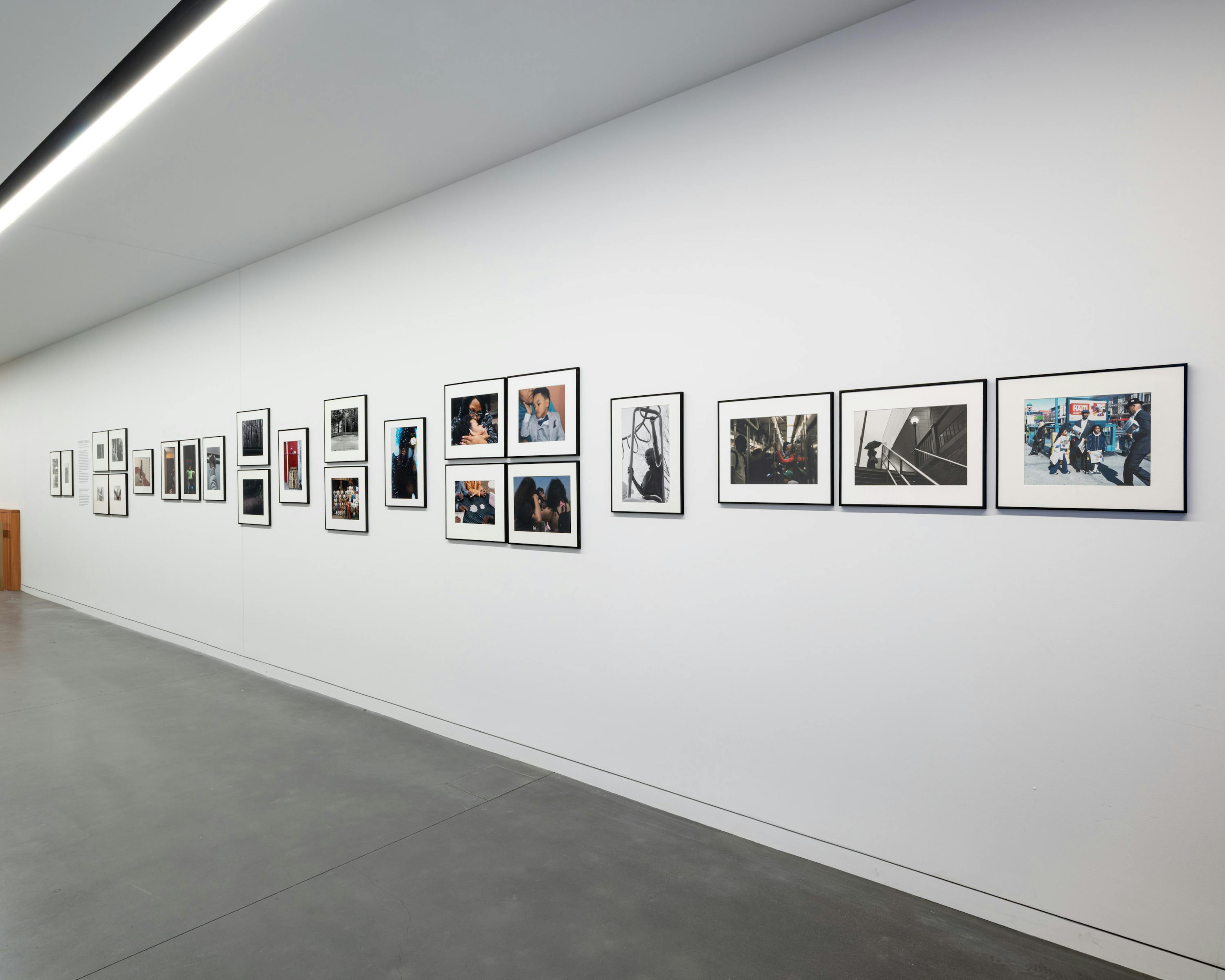 <p><em>Expanding the Walls: Making Connections Between Photography, History, and Community</em> (installation view). Photo: Kris Graves.</p>