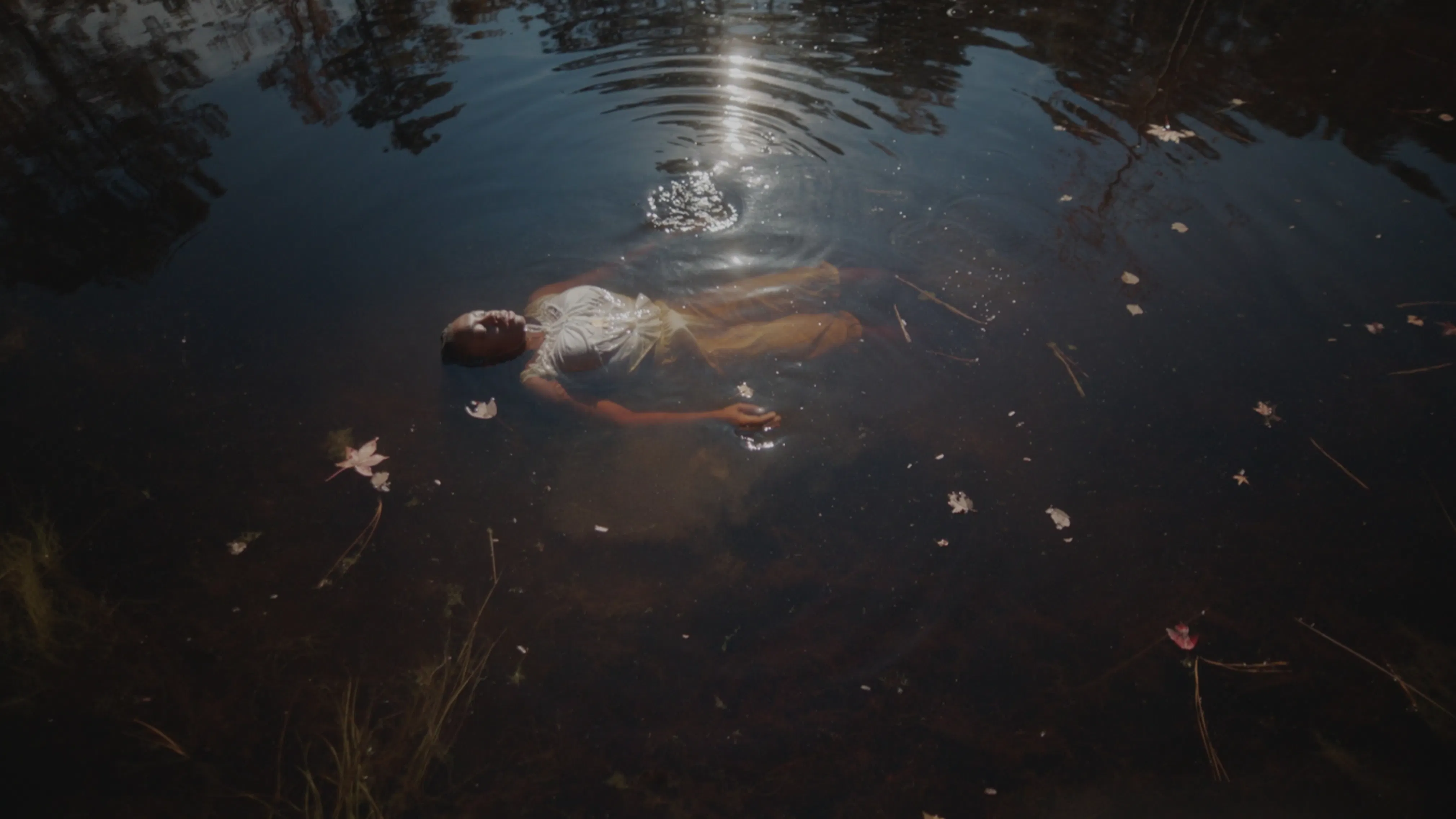 <p>Still from Allison Janae Hamilton's <em>Venus of Ossabaw</em></p>