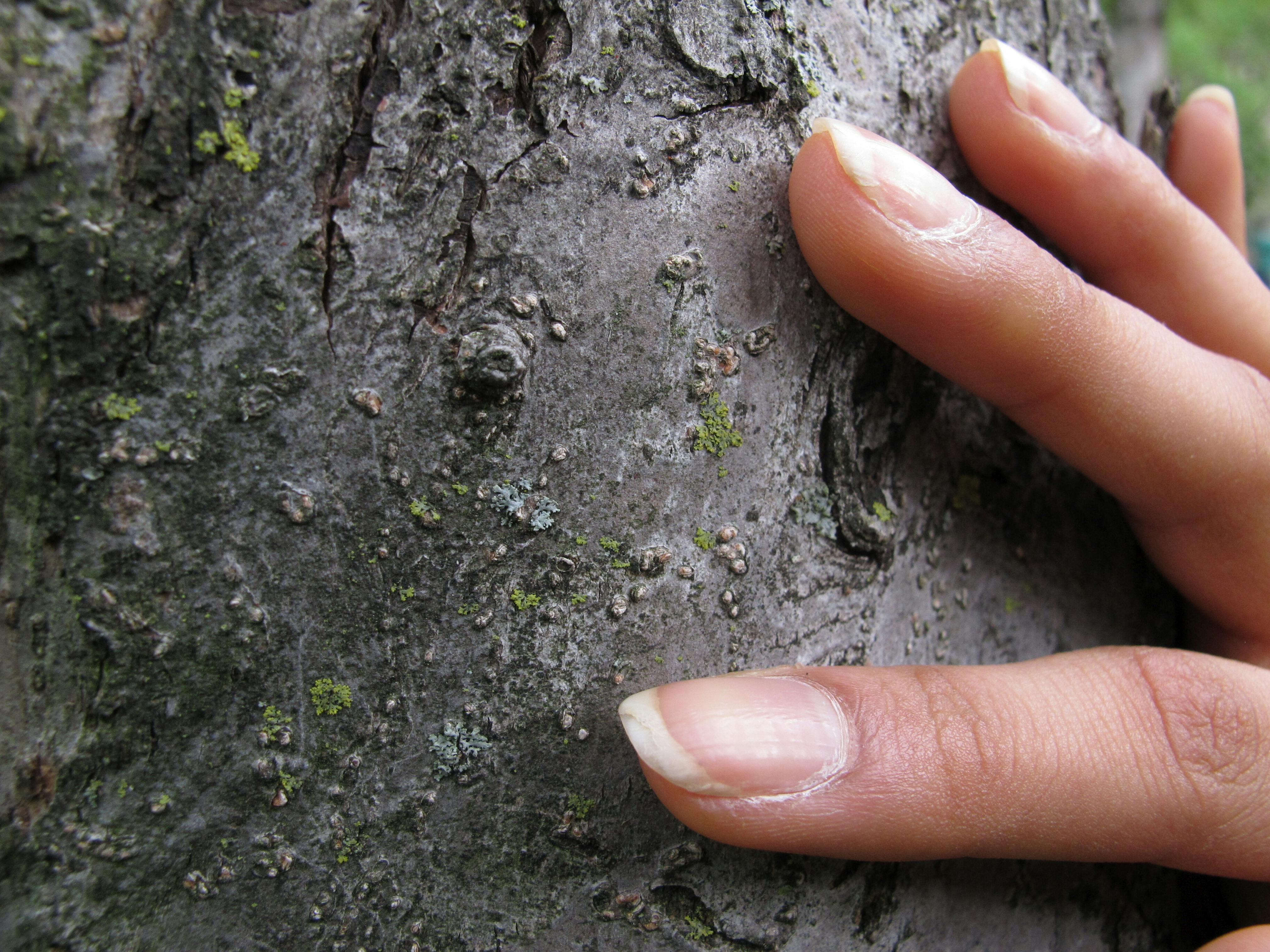 Alexandra Barlowe
Unpolished, 2011
Courtesy the artist