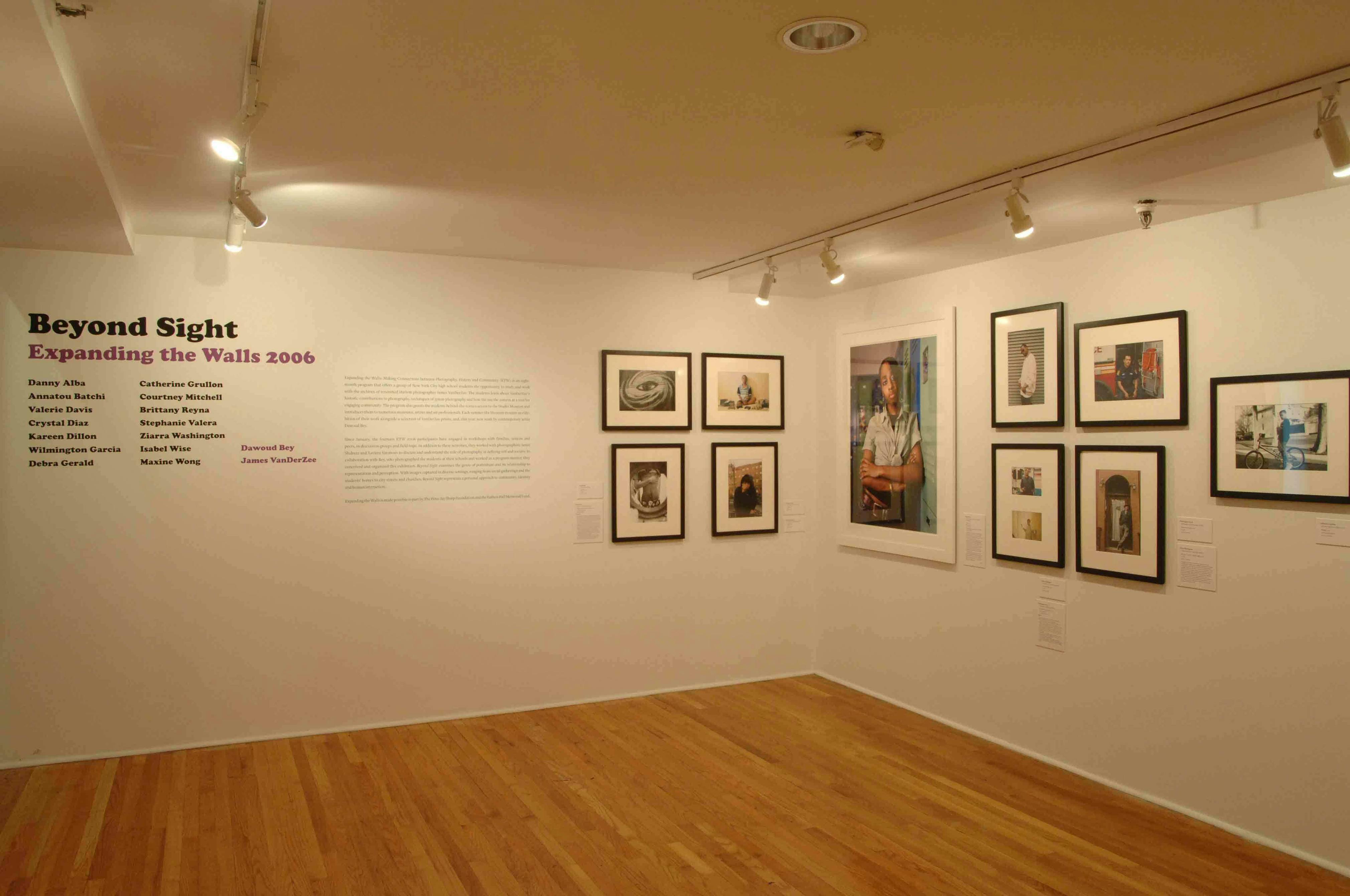 Expanding the Walls: Beyond Sight (installation view), 2006
Photo: Adam Reich