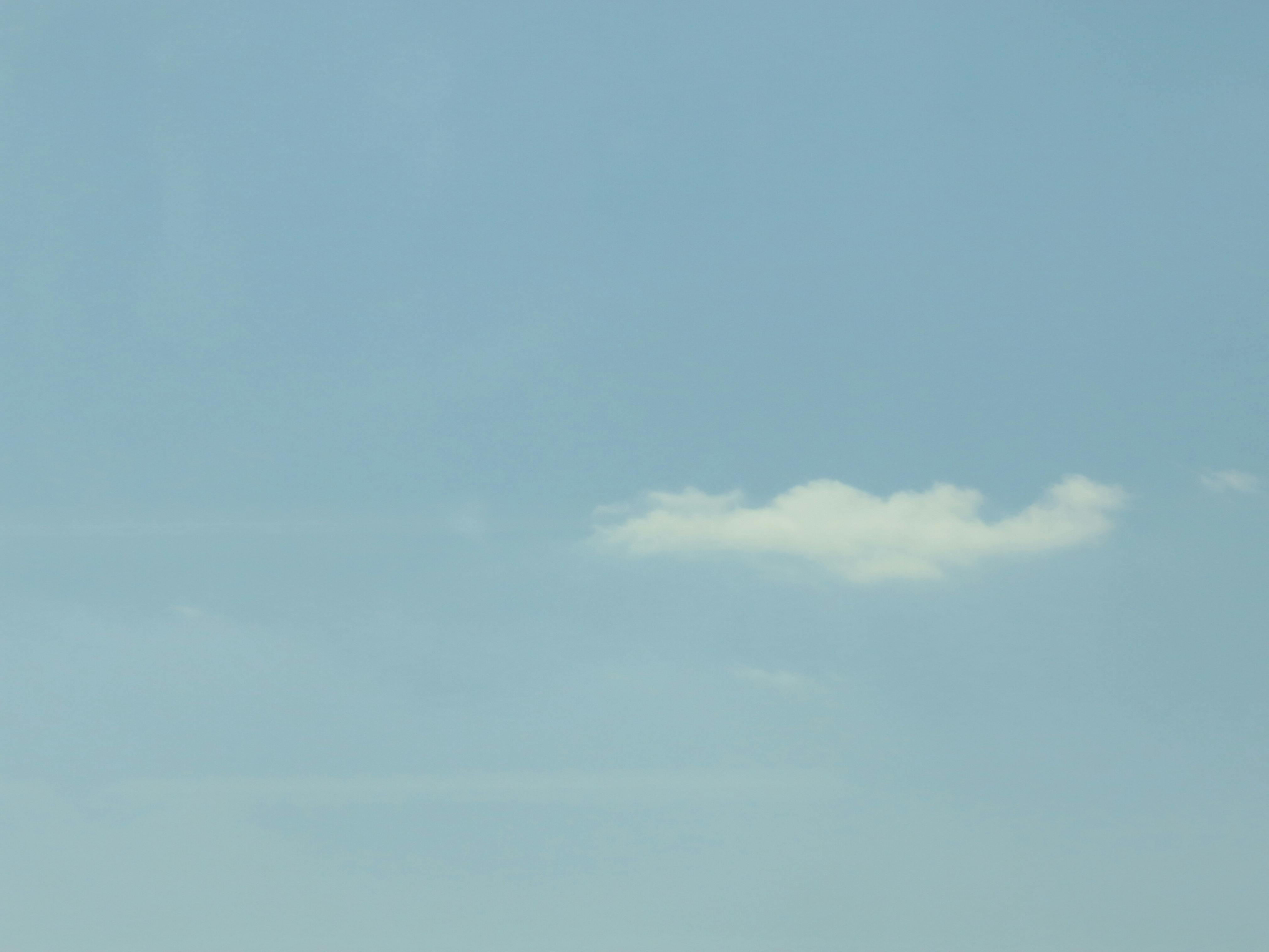 Dautchley "Max" Desmarais
	Blue Dreams, 2013
	Courtesy the artist