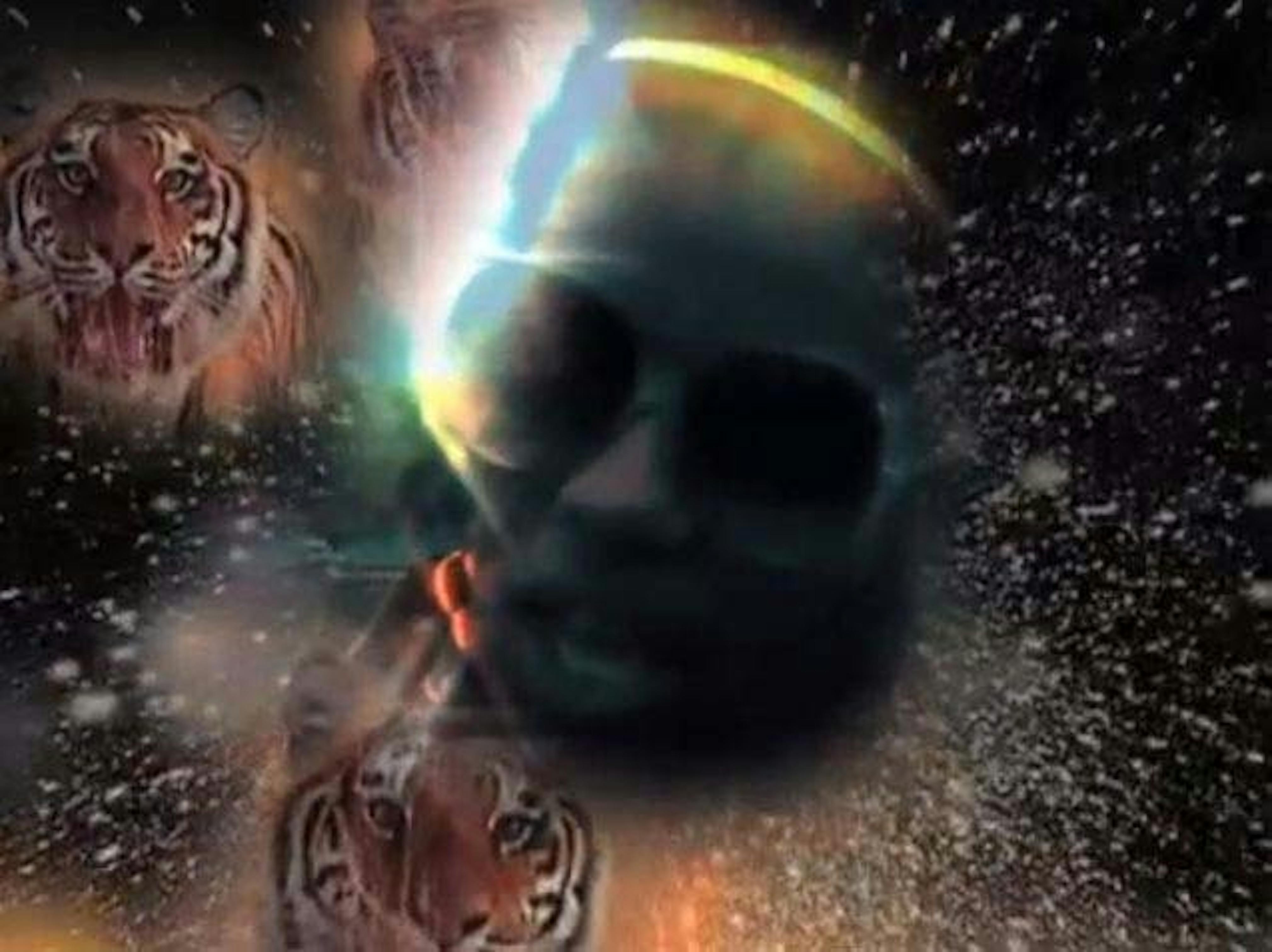 Dineo Seshee Bopape
the problem of beauty (video still), 2009