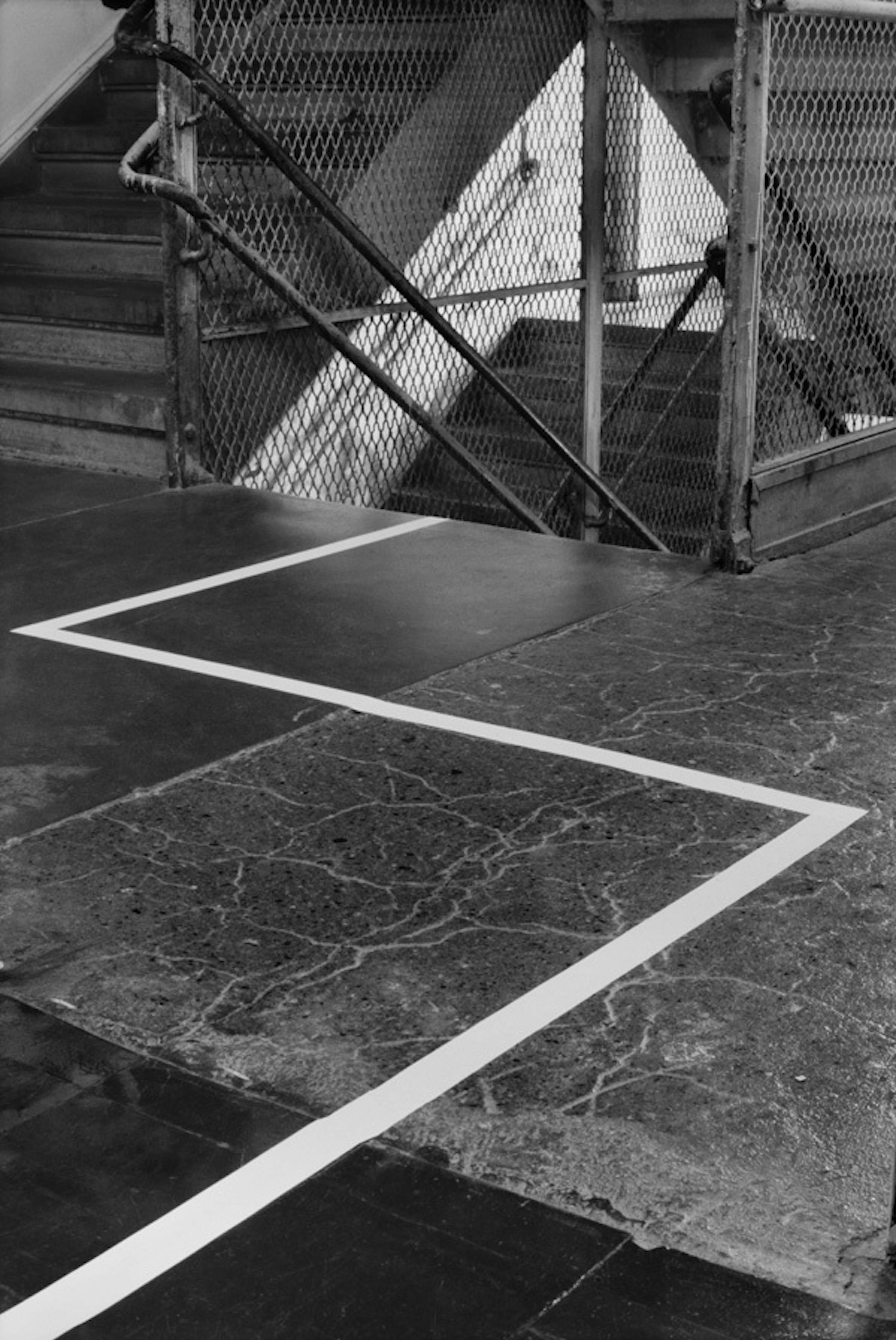 Clifford Owens
	Anthology (William Pope. L) (detail), 2011
	Museum Purchase with funds provided by the Acquisition Committee and gifts from Bernard Lumpkin and Carmine D. Boccuzzi and the Solomon Foundation  12.21.3a - t
 