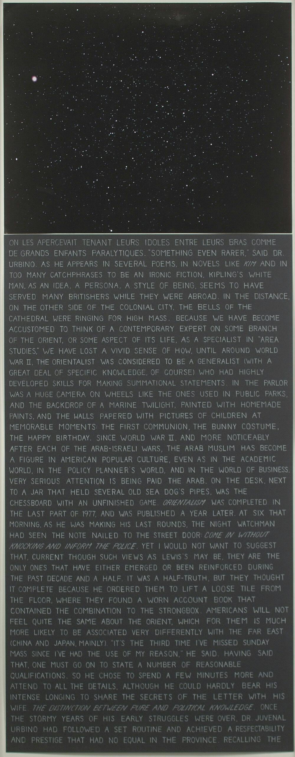 Charles Gaines
Randomized Text Drawing #2 (diptych), 2006
Digital print and color pencil on paper, 54 1/2 × 22 1/2 in.
The Studio Museum in Harlem; Museum purchase with funds provided by the Acquisition Committee  2007.21.1