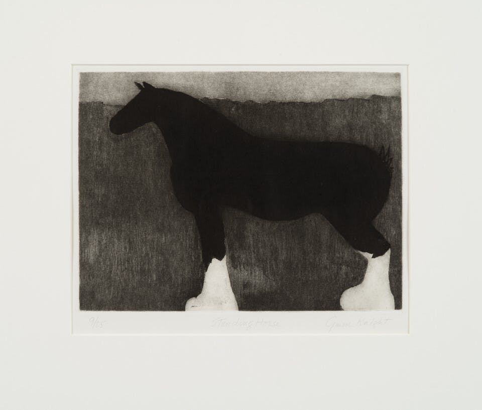 <p>Gwendolyn C. Knight <br /><br />Standing Horse, 1999 <br /><br />Etching on paper 18 1/4 x 18 in. (46.4 x 45.7 cm) Frame: 20 1/2 x 22 x 1 in. (52.1 x 55.9 x 2.5 cm) ed: 9/25 <br /><br />The Studio Museum in Harlem; gift of Judith Golden, New York <br /><br />2000.6.1</p>