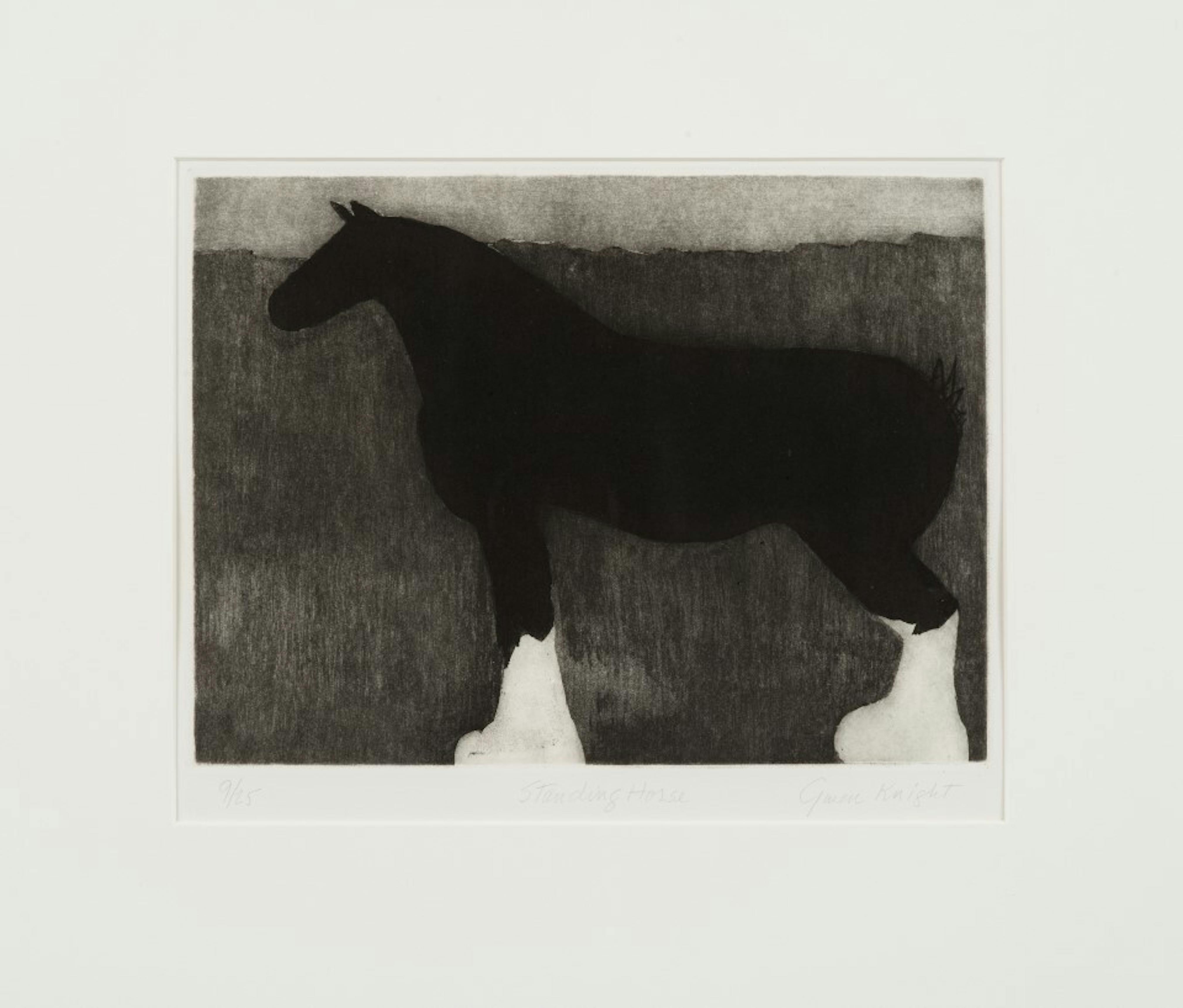 <p>Gwendolyn C. Knight, <em>Standing Horse</em>, 1999. Etching on paper 18 1/4 x 18 in. (46.4 x 45.7 cm) Frame: 20 1/2 x 22 x 1 in. (52.1 x 55.9 x 2.5 cm) ed: 9/25. The Studio Museum in Harlem; gift of Judith Golden, New York  2000.6.1. Photo: John Berens</p>