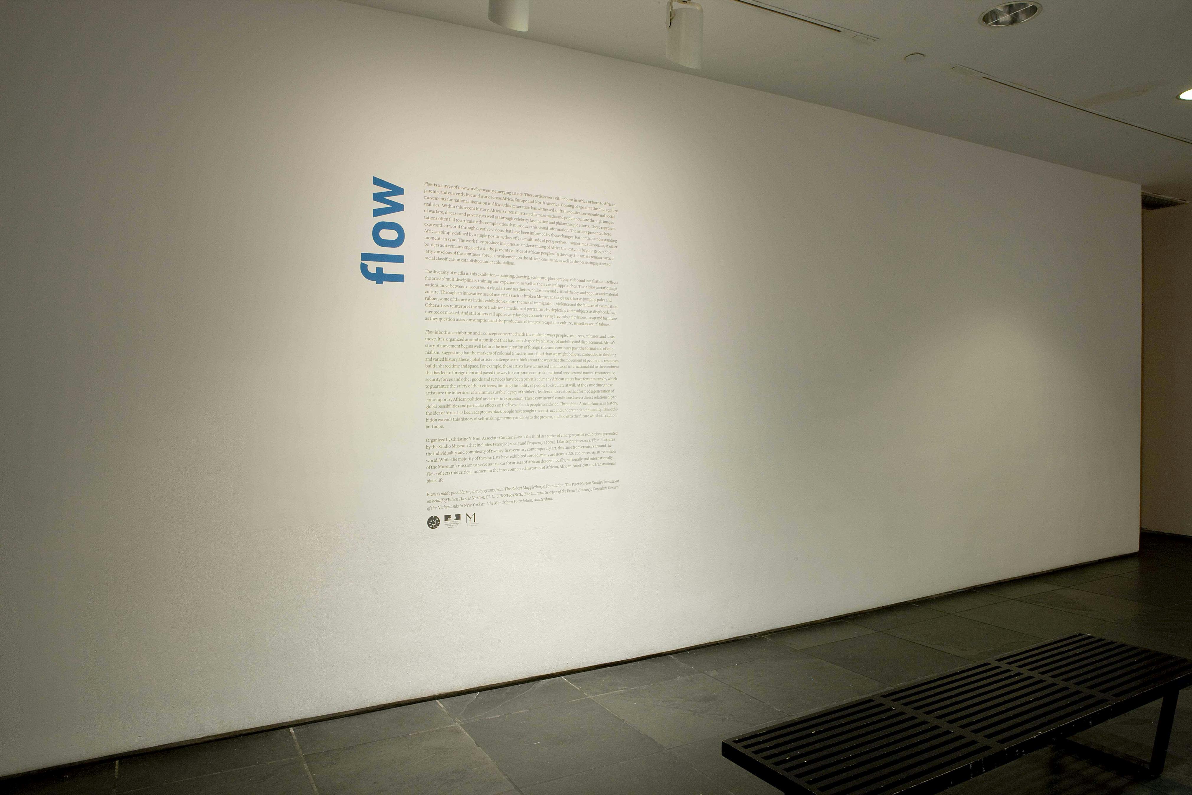 Flow (installation view), 2008
Photo: Adam Reich