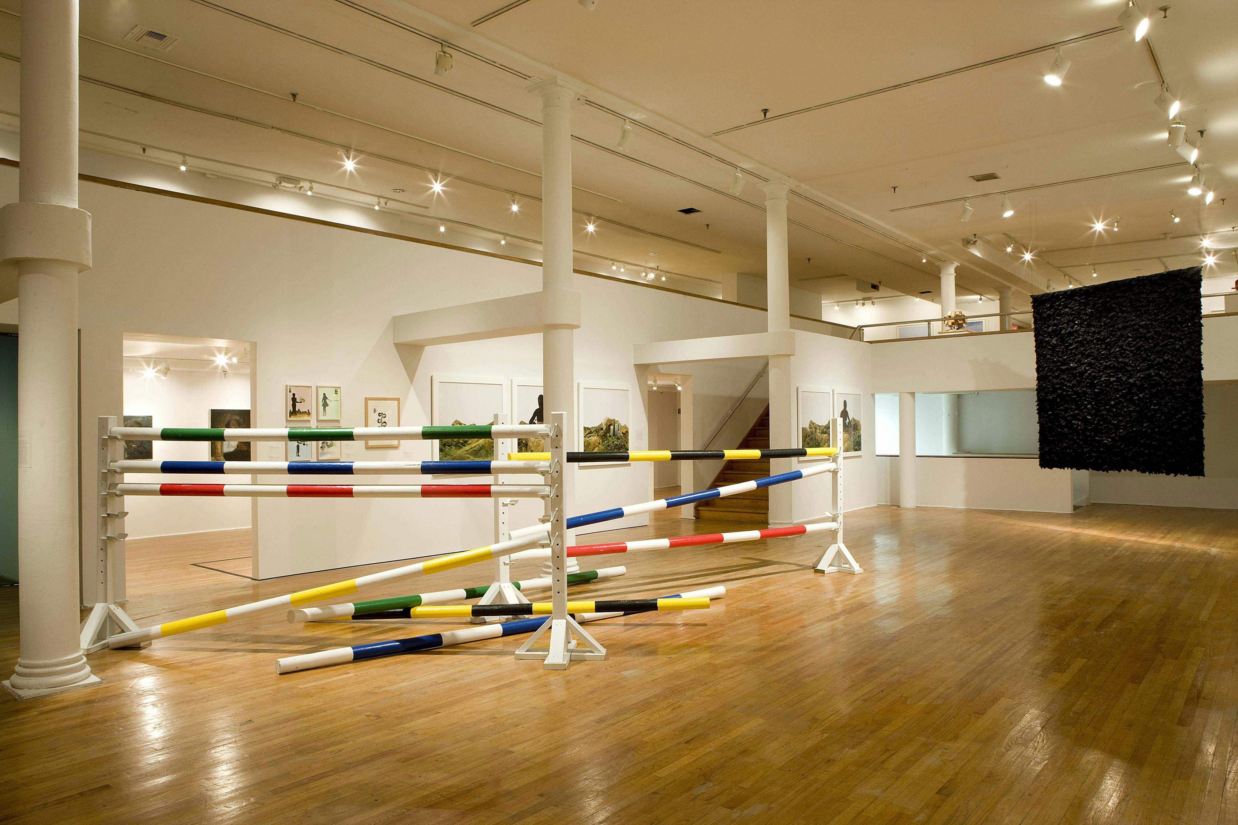 Flow (installation view), 2008
Photo: Adam Reich