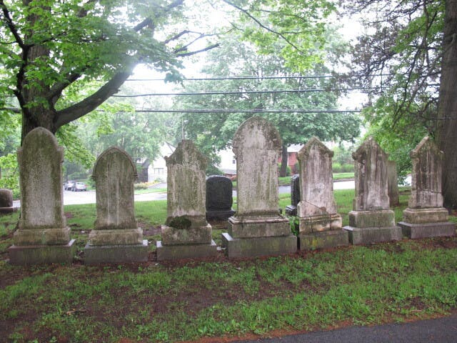 Neil Robinson
	The Living Stuck, 2011
	Courtesy the artist