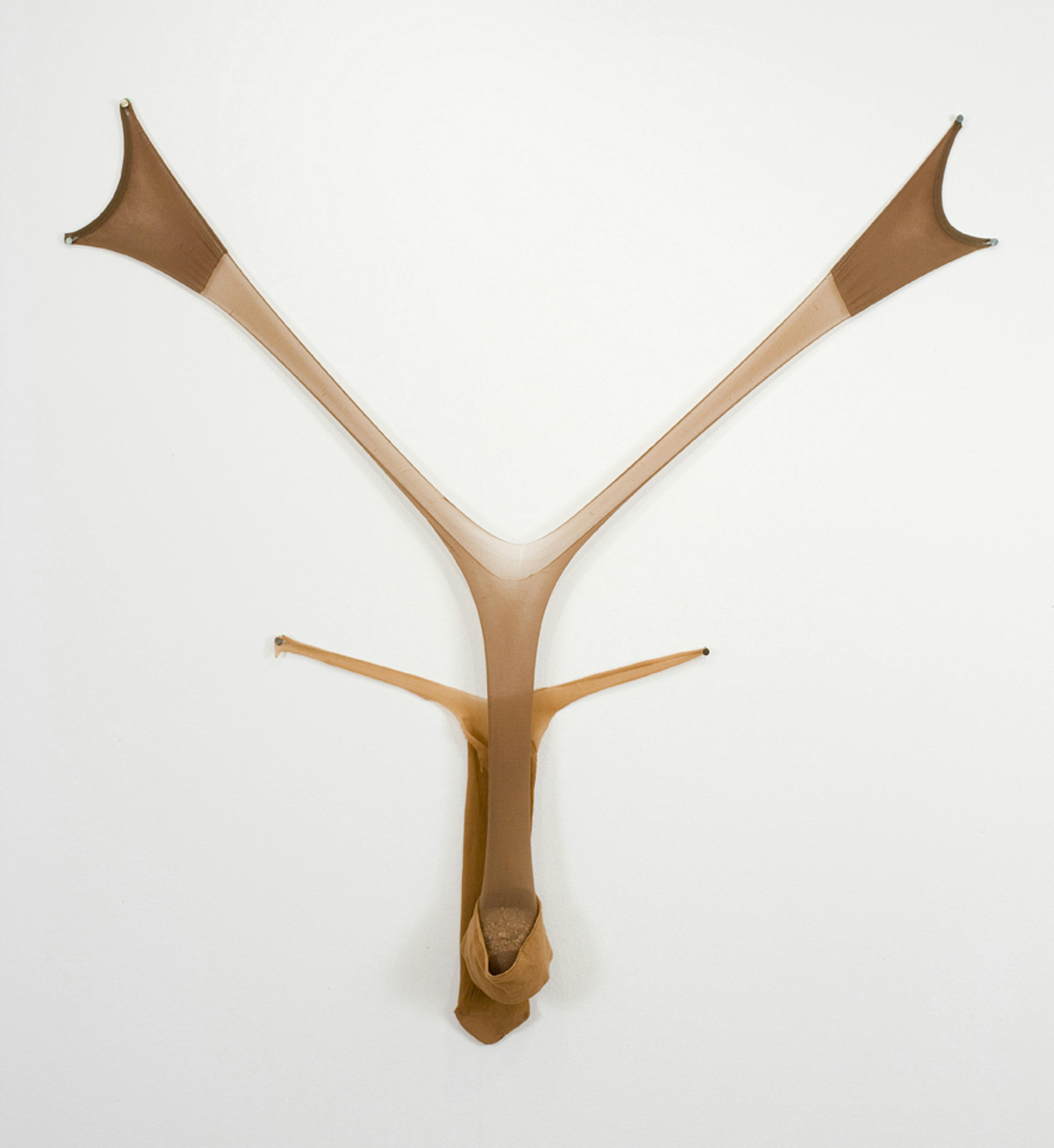 Senga Nengudi
	R.S.V.P. V, 1976
	Museum Purchase with funds provided by the Acquisition Committee  03.10.22
 