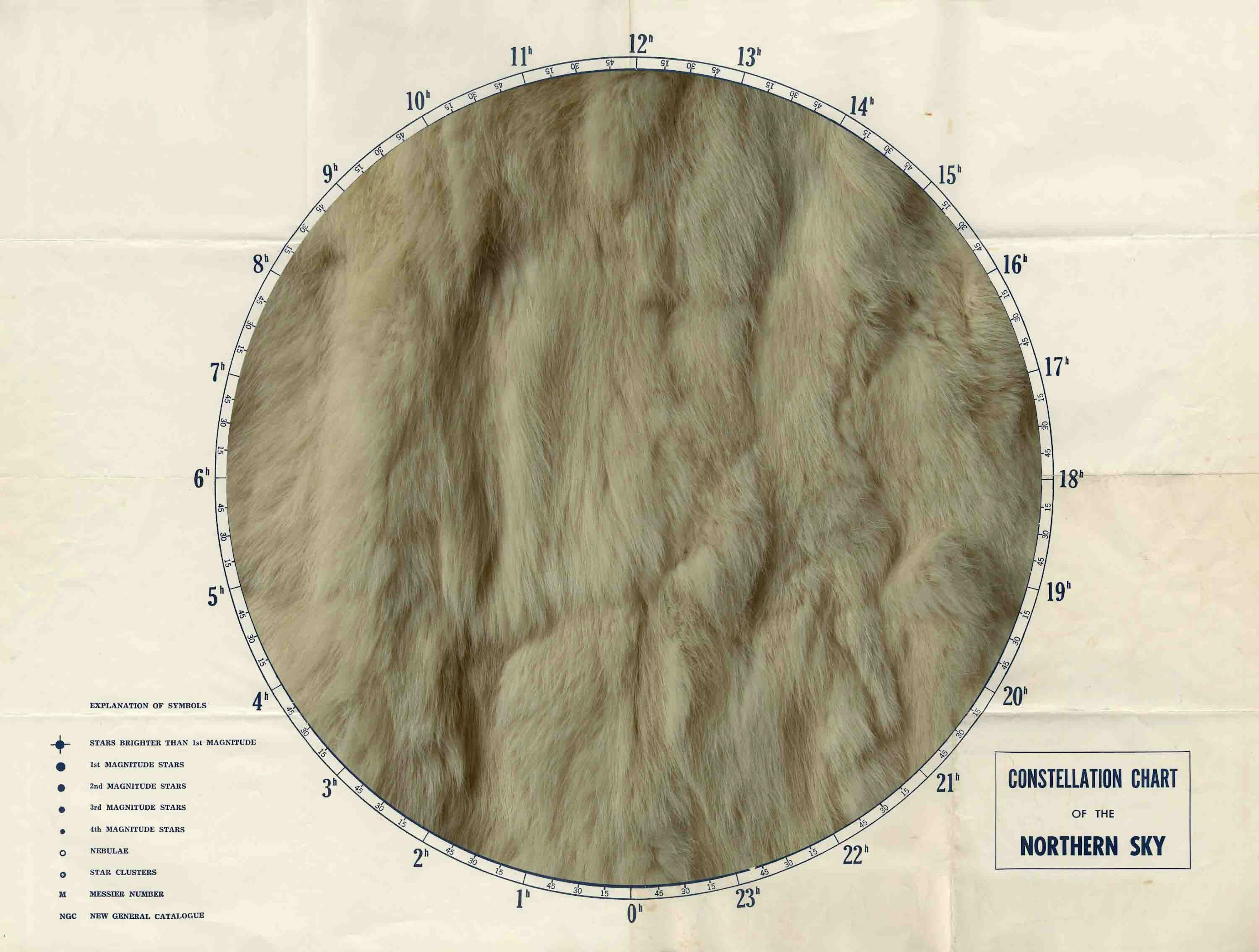 Demetrius Oliver
Lepus, 2007
Digital chromogenic print, ed. 1 of 7, 18 x 25 in.
Courtesy the artist
