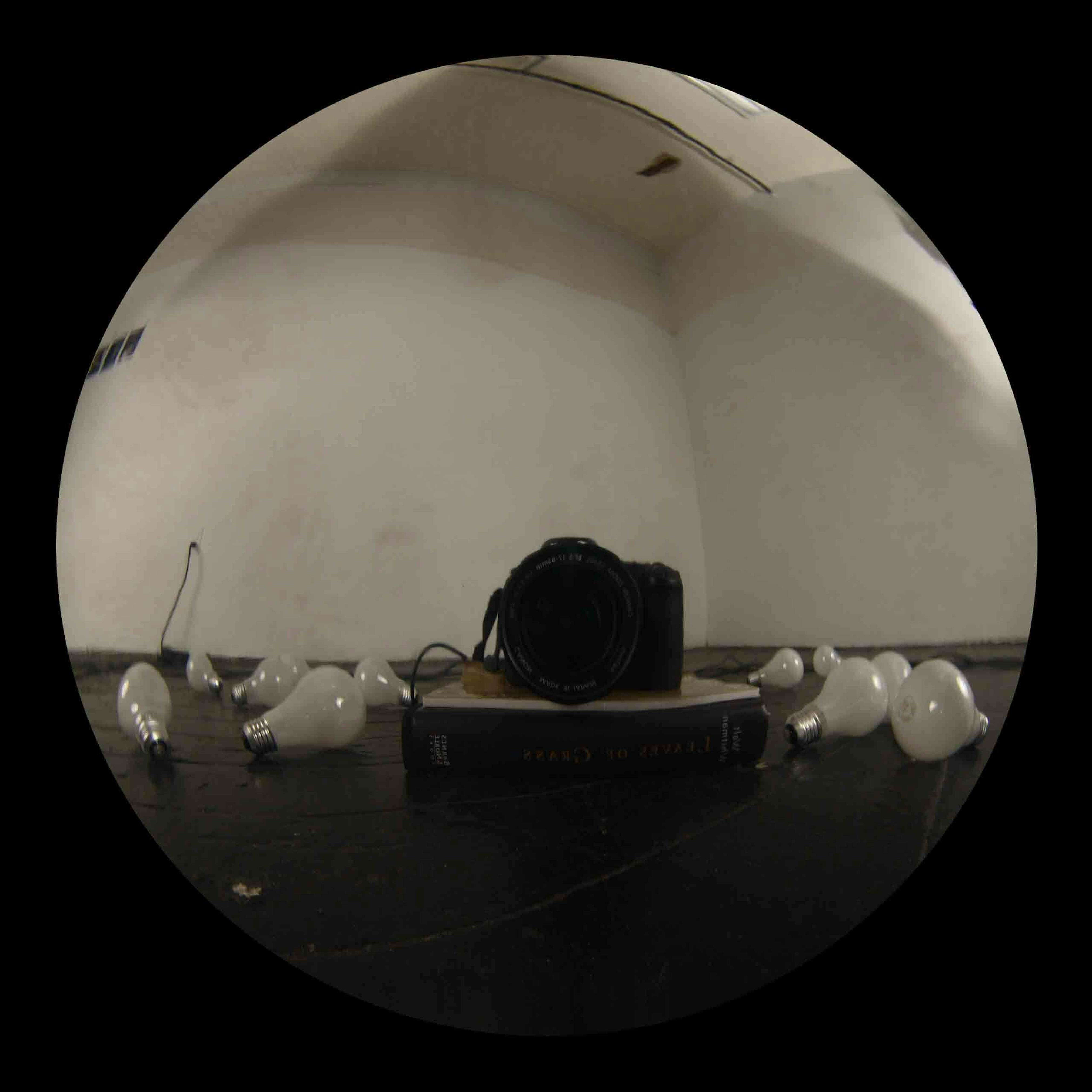 Demetrius Oliver
Almanac (detail), 2006-07
Digital chromogenic prints, 16 x 600 in.
Courtesy the artist
